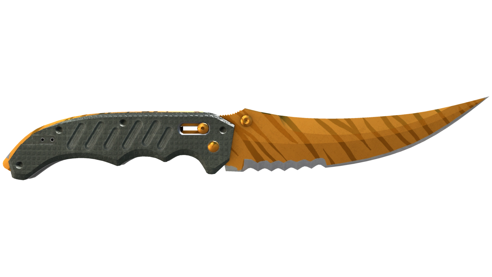 Tiger Tooth image