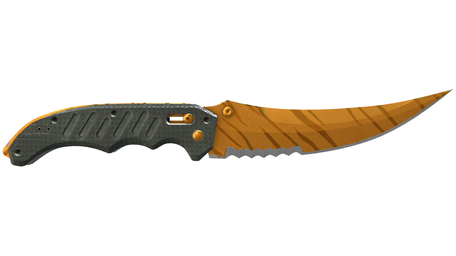 Tiger Tooth image