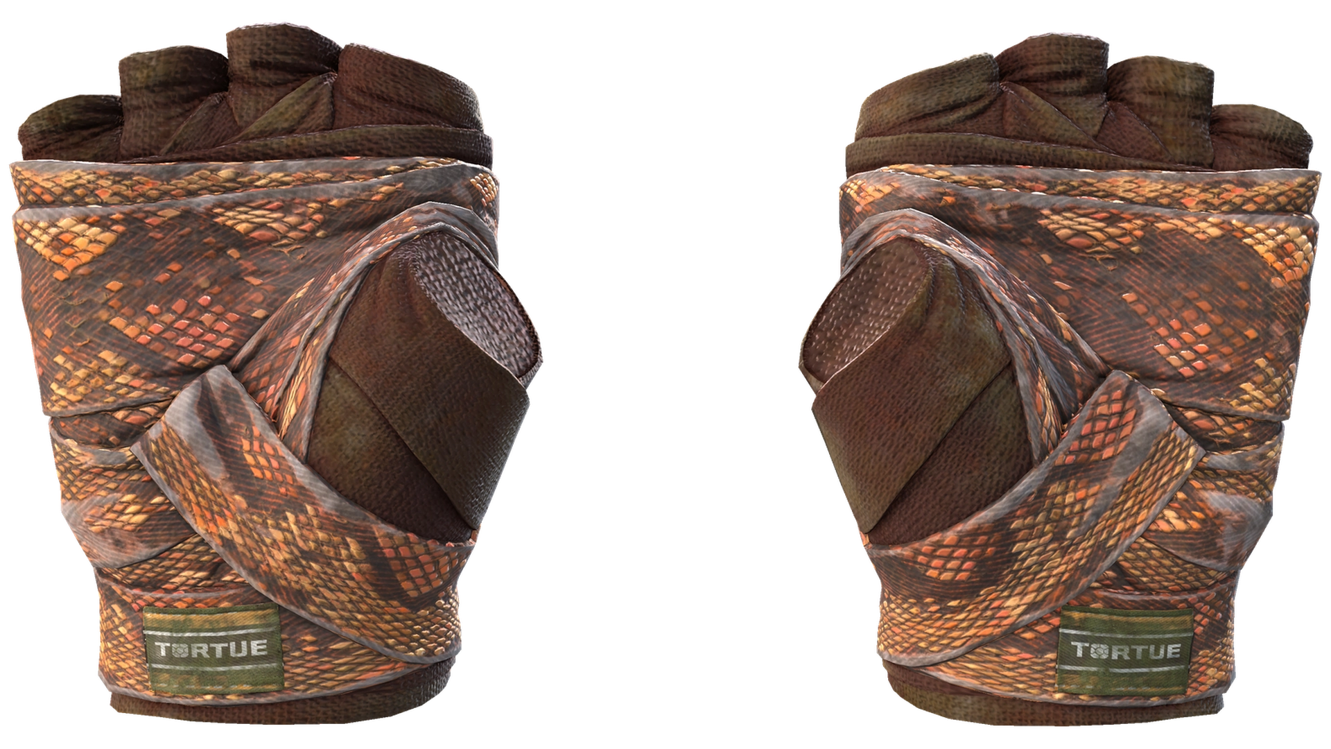 Constrictor image