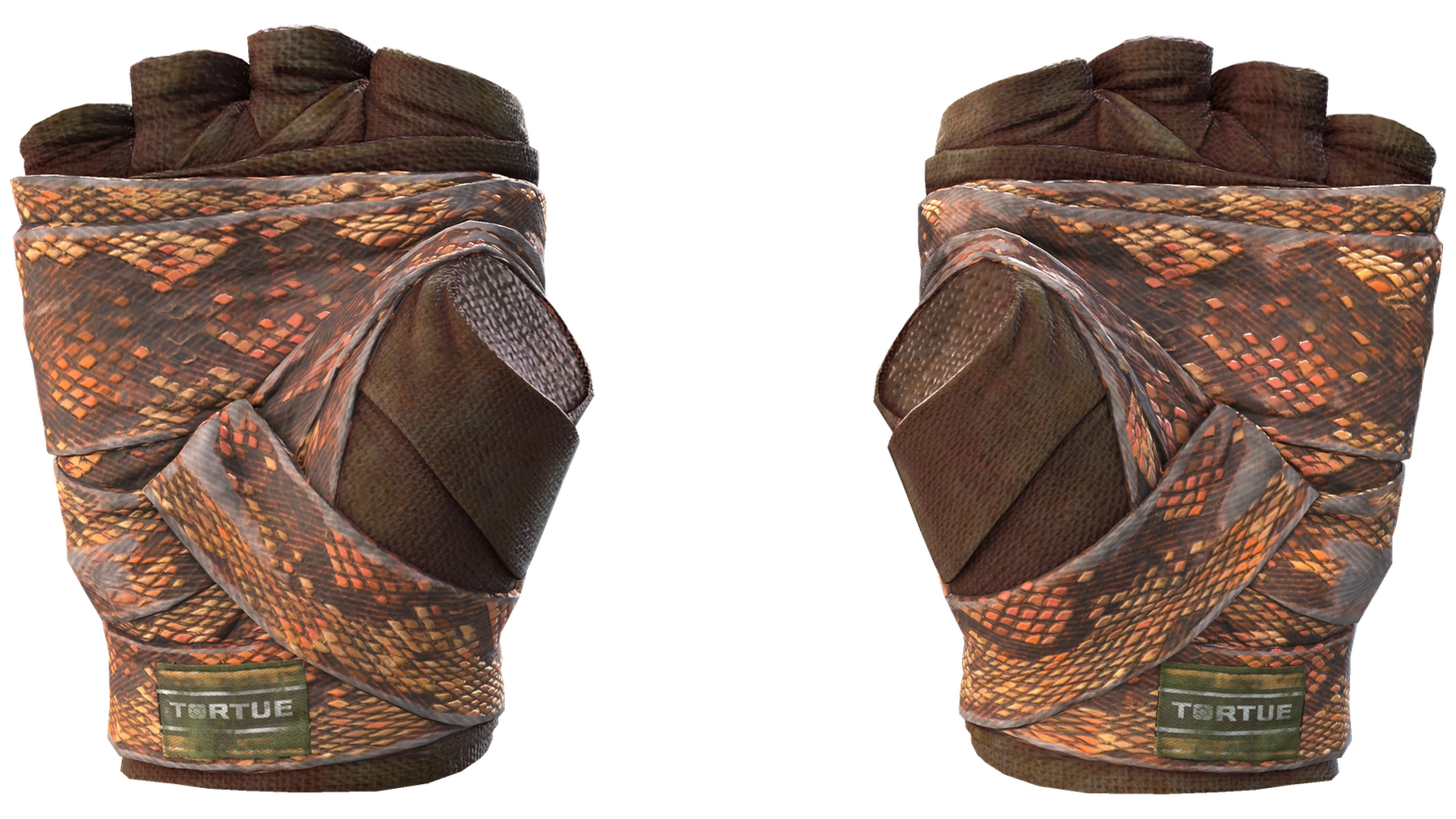 Constrictor image