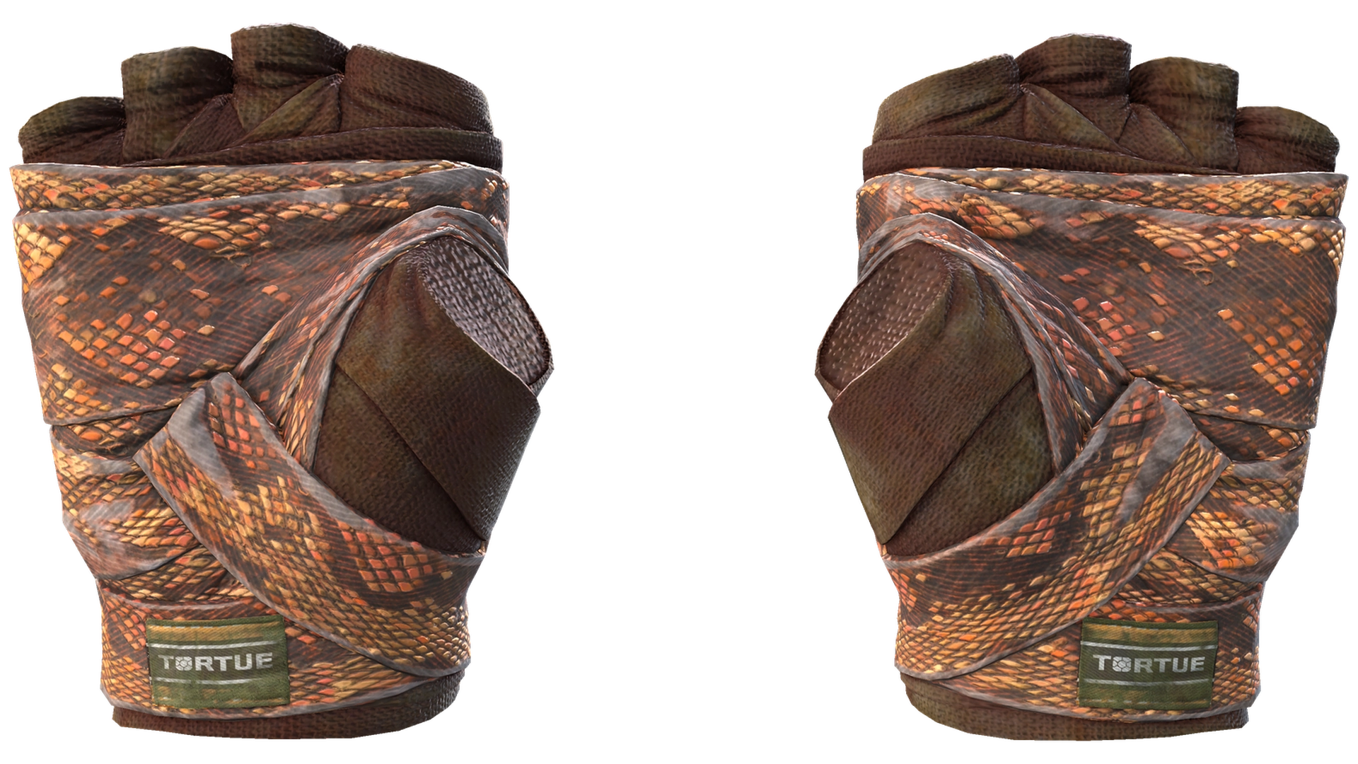 Constrictor image