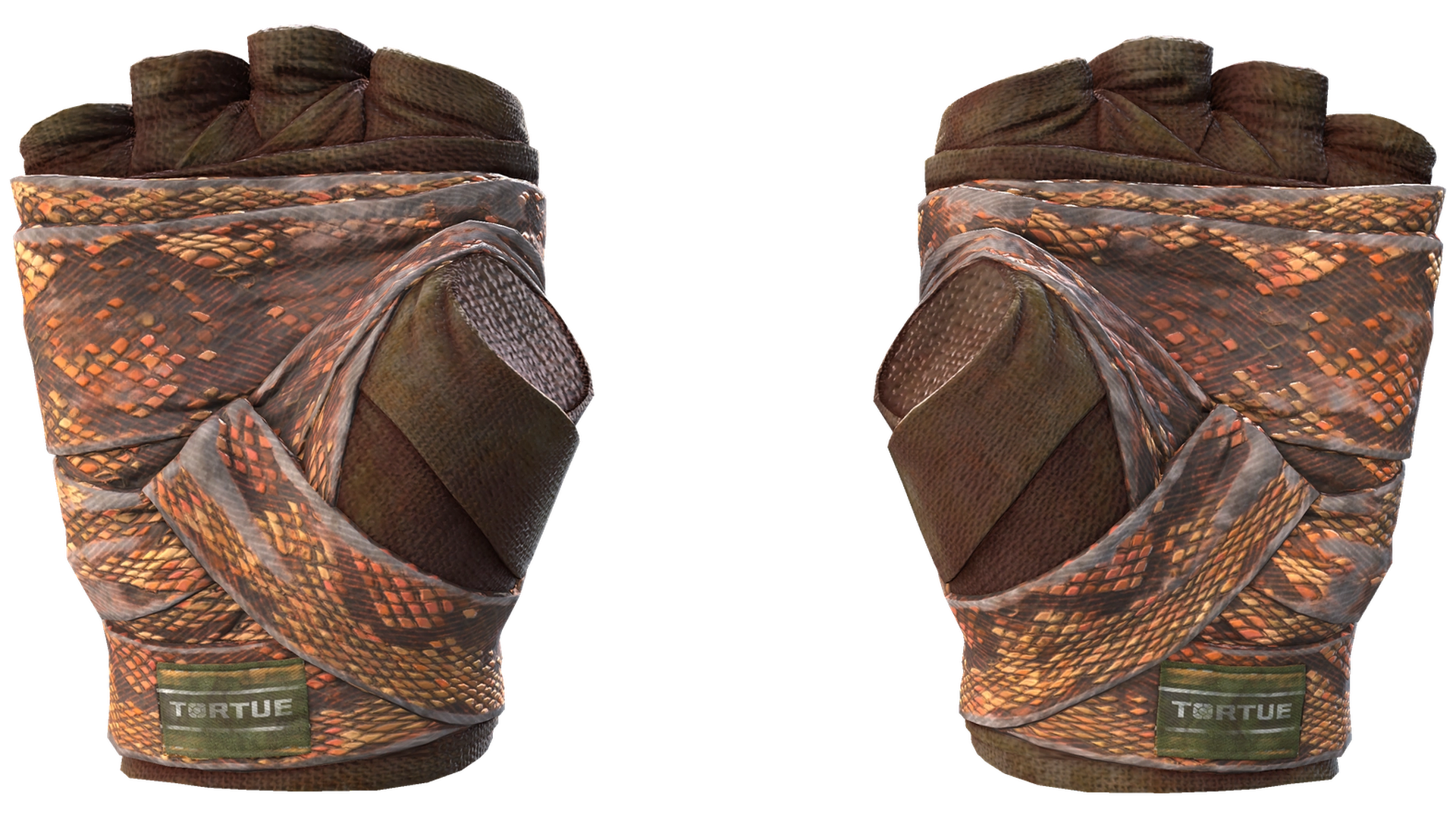Constrictor image
