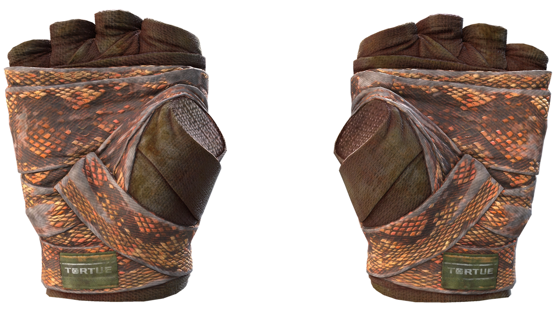 Constrictor image