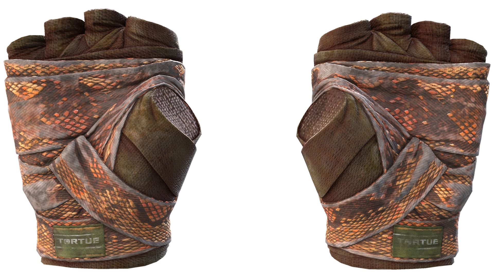 Constrictor image