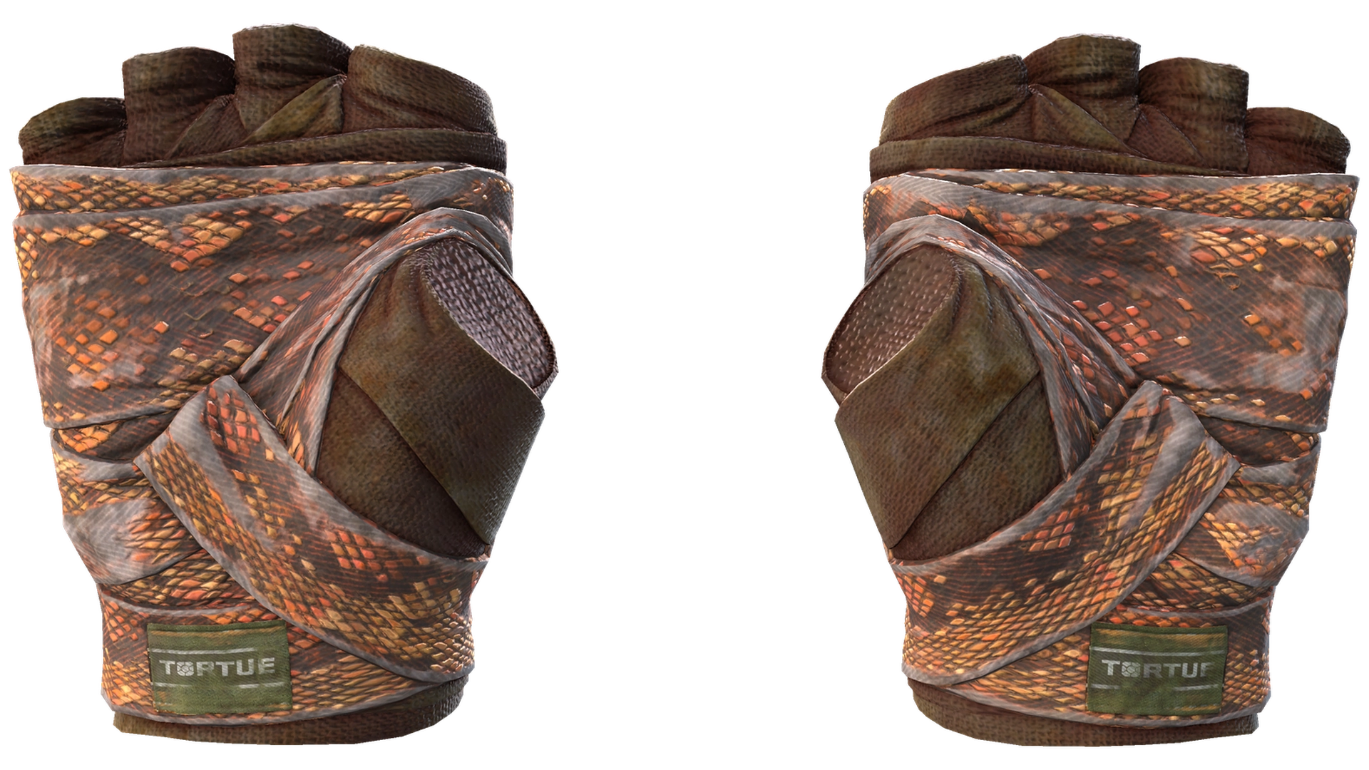 Constrictor image