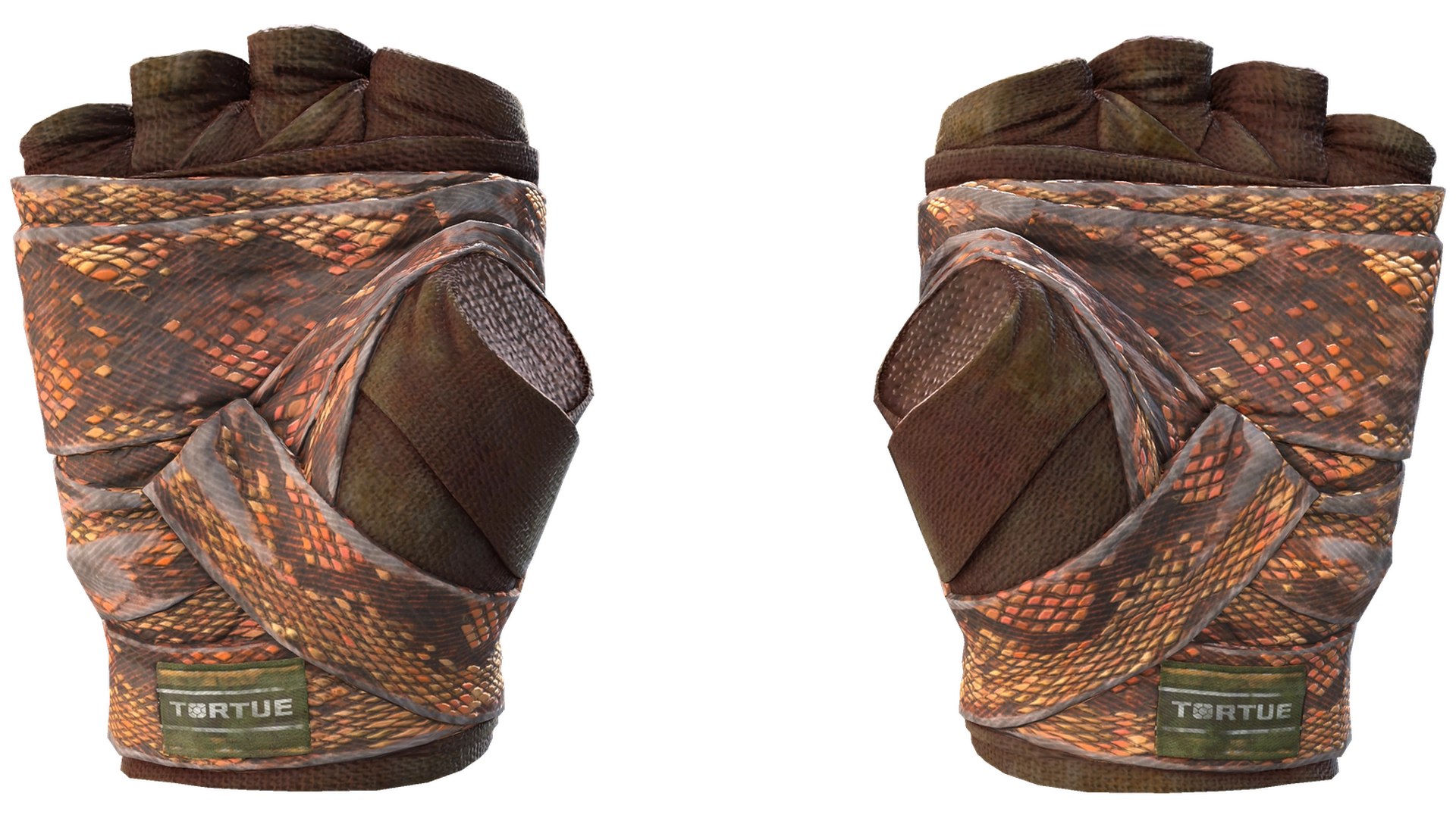 Constrictor image