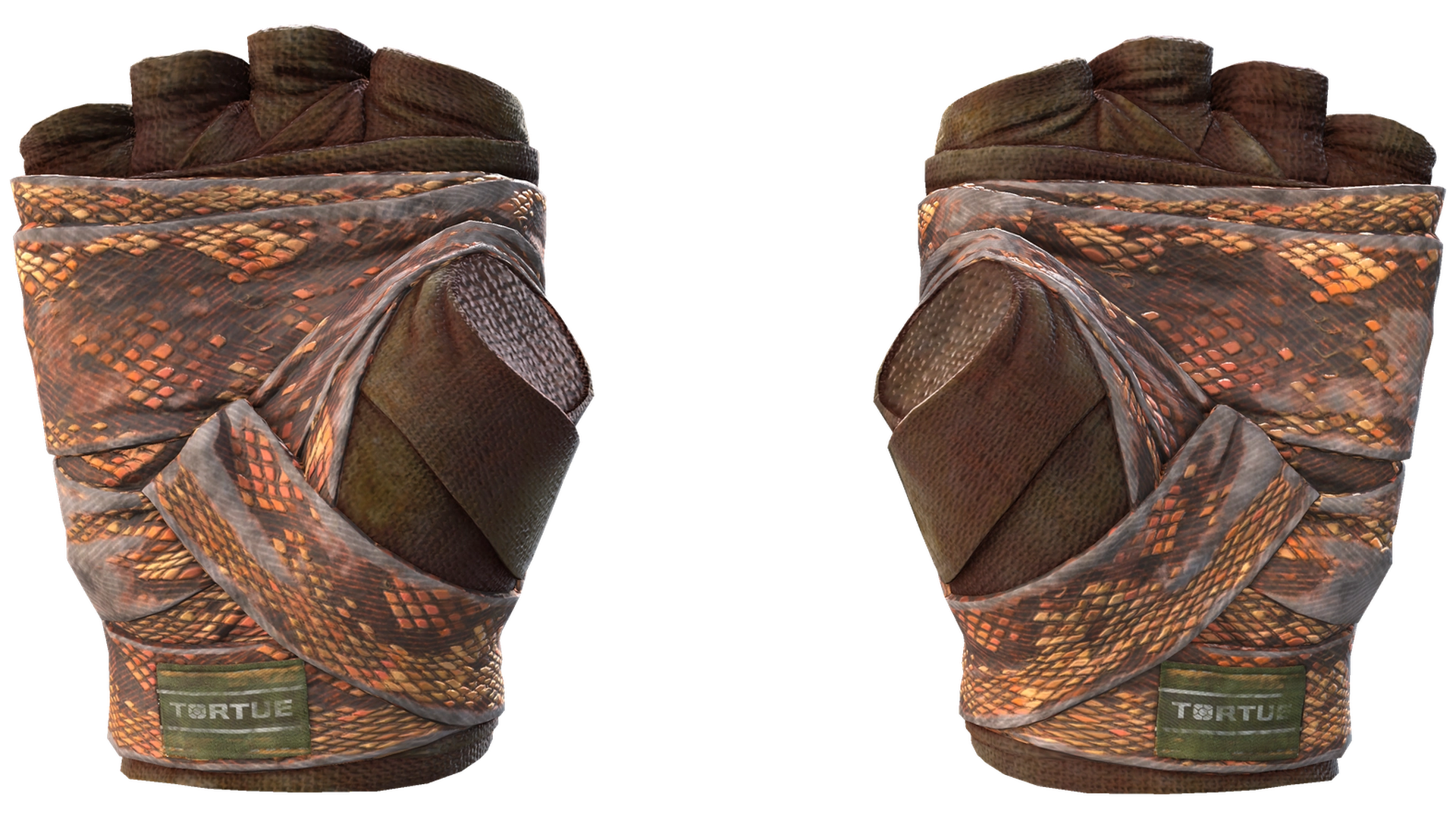 Constrictor image