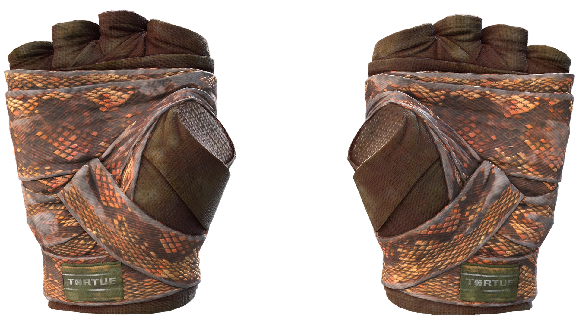 Constrictor image