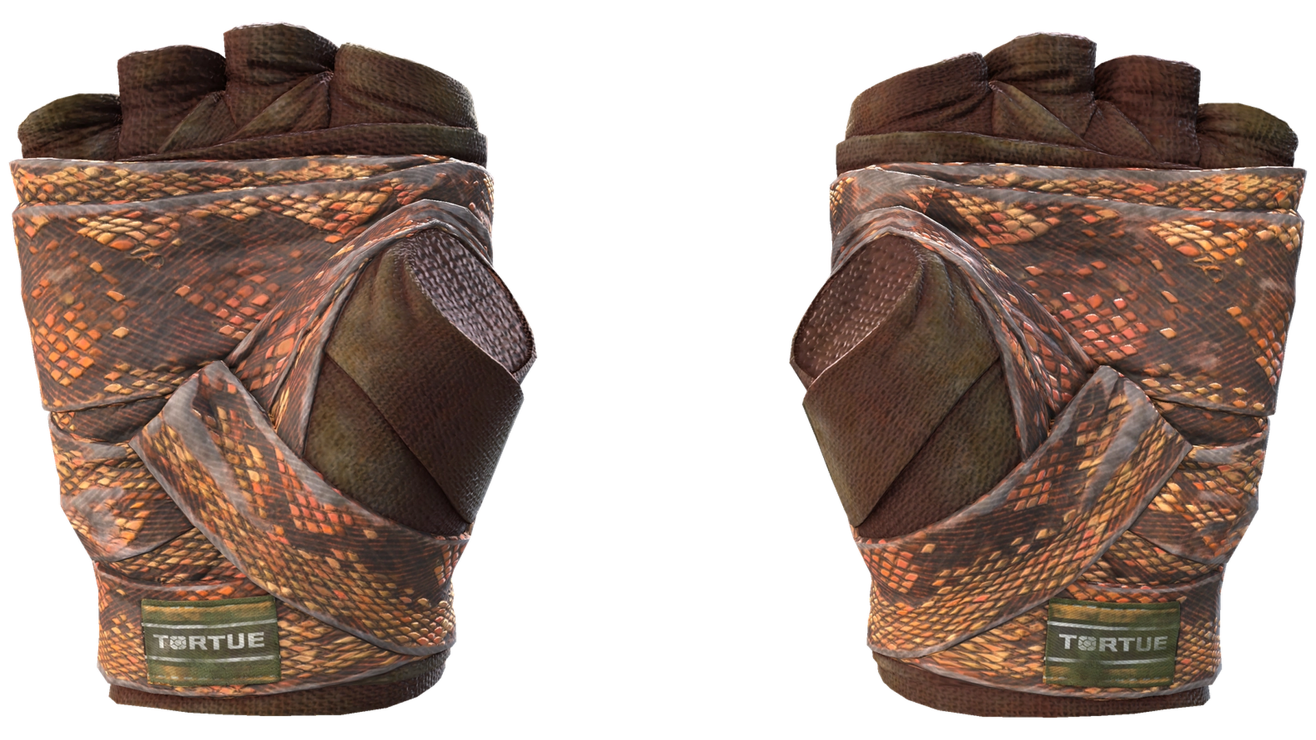 Constrictor image