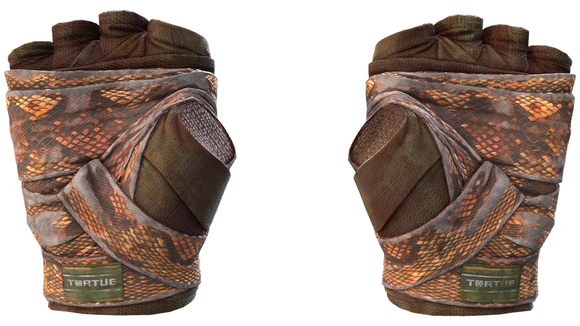 Constrictor image