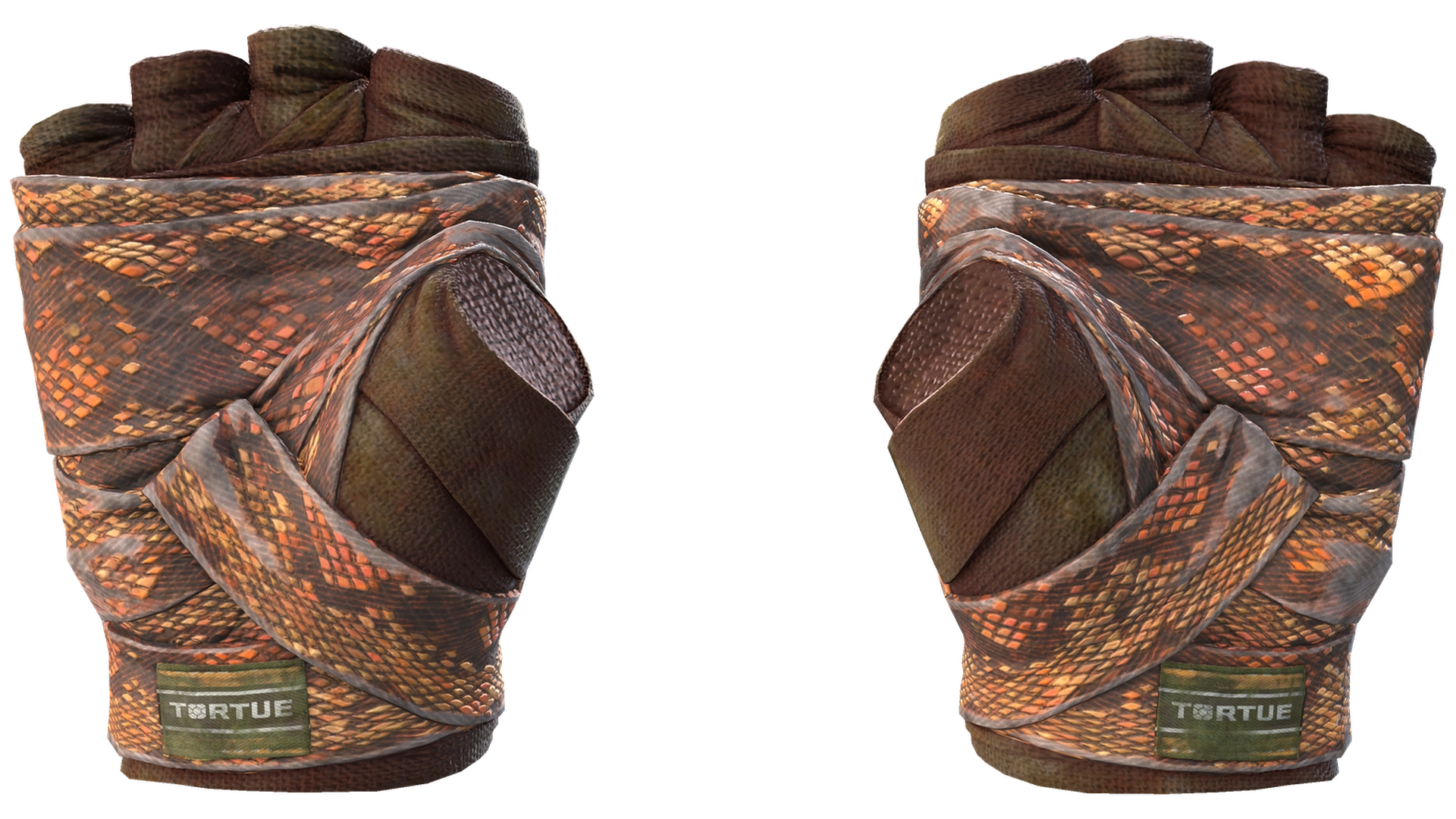 Constrictor image