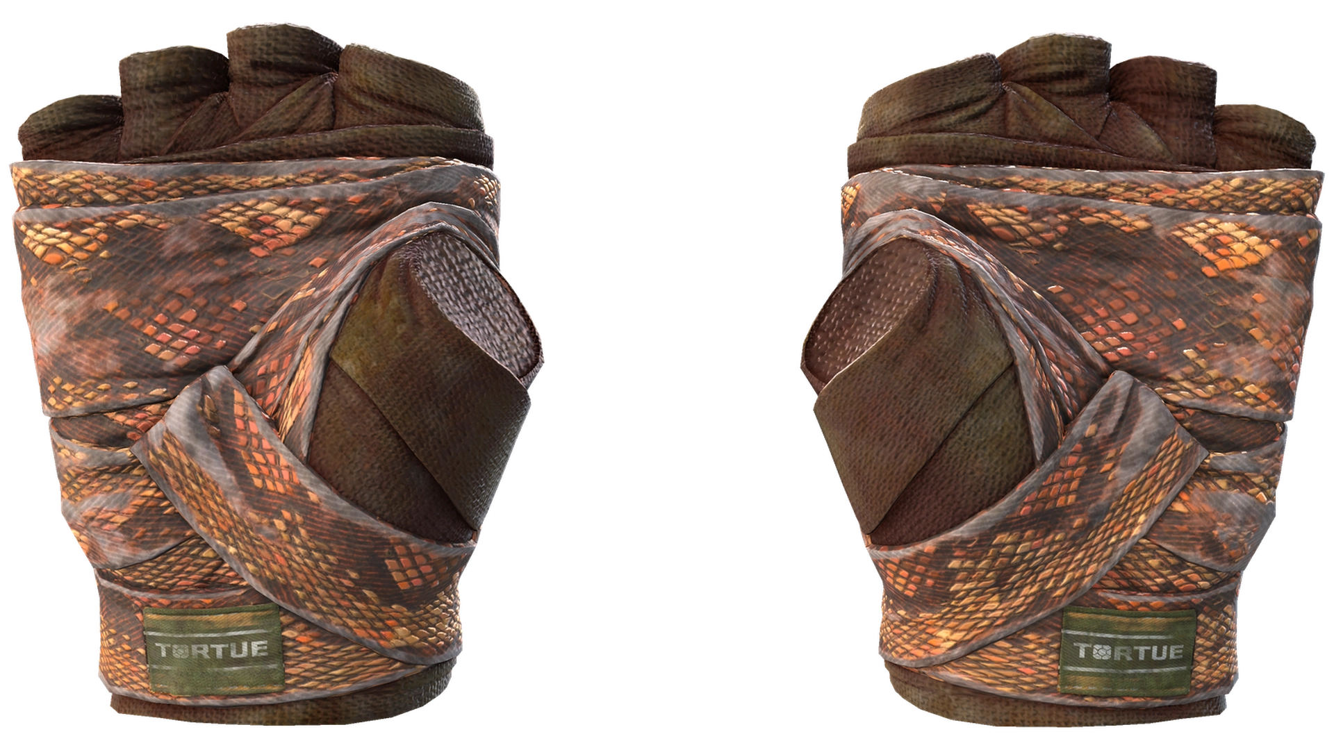 Constrictor image