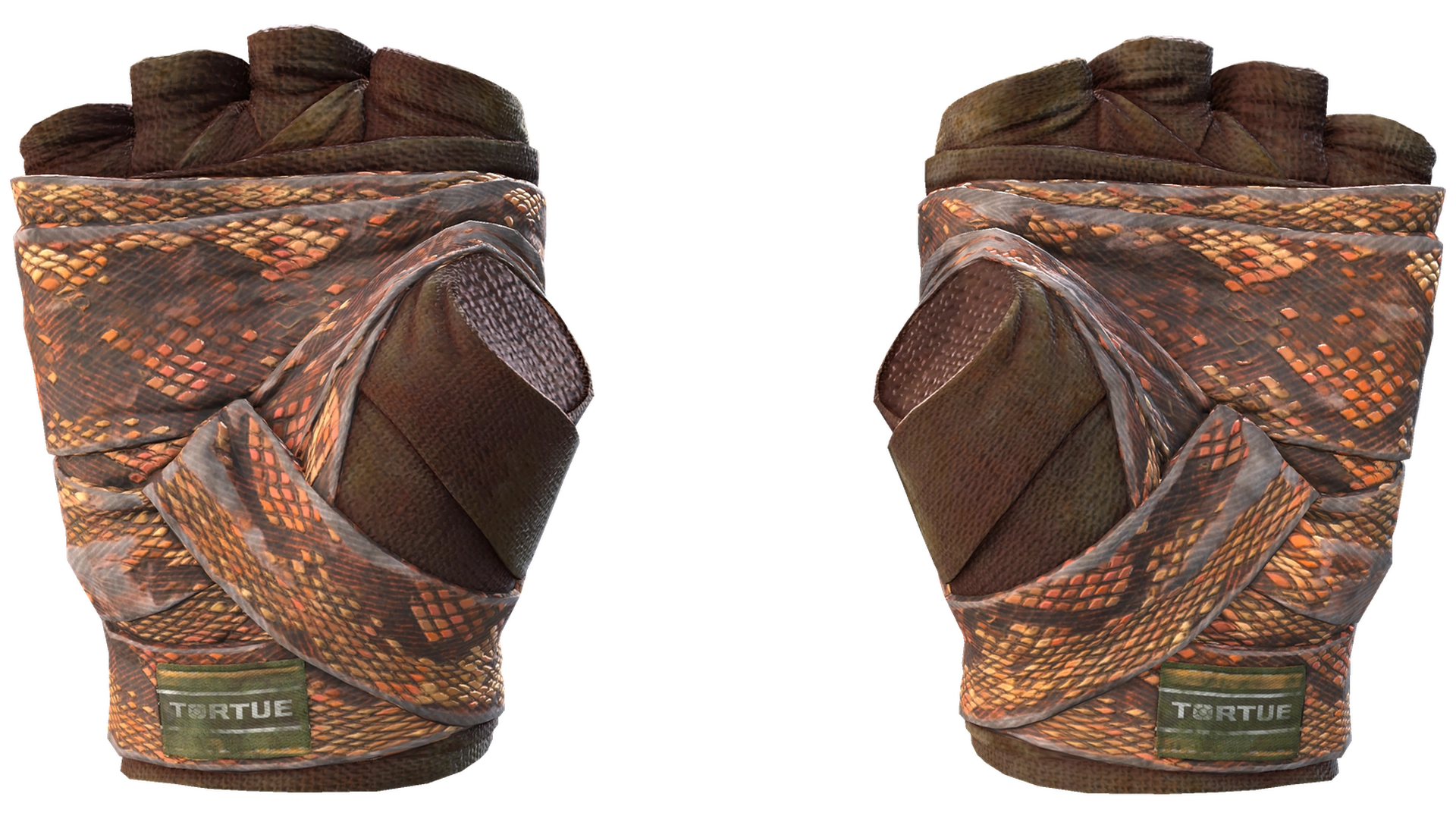 Constrictor image