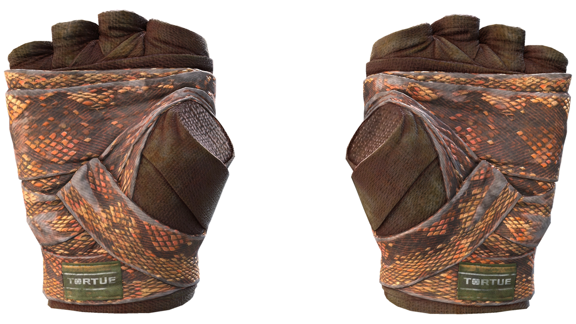 Constrictor image