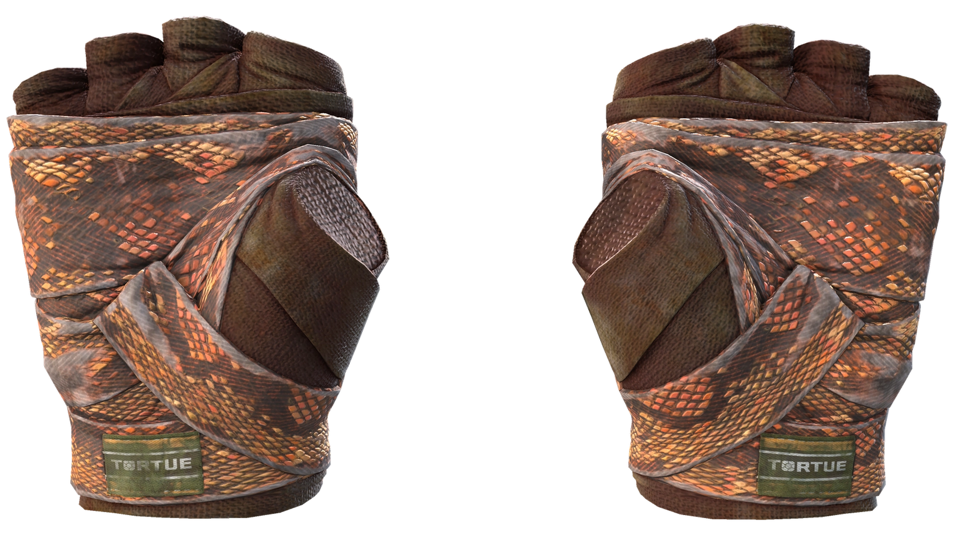 Constrictor image