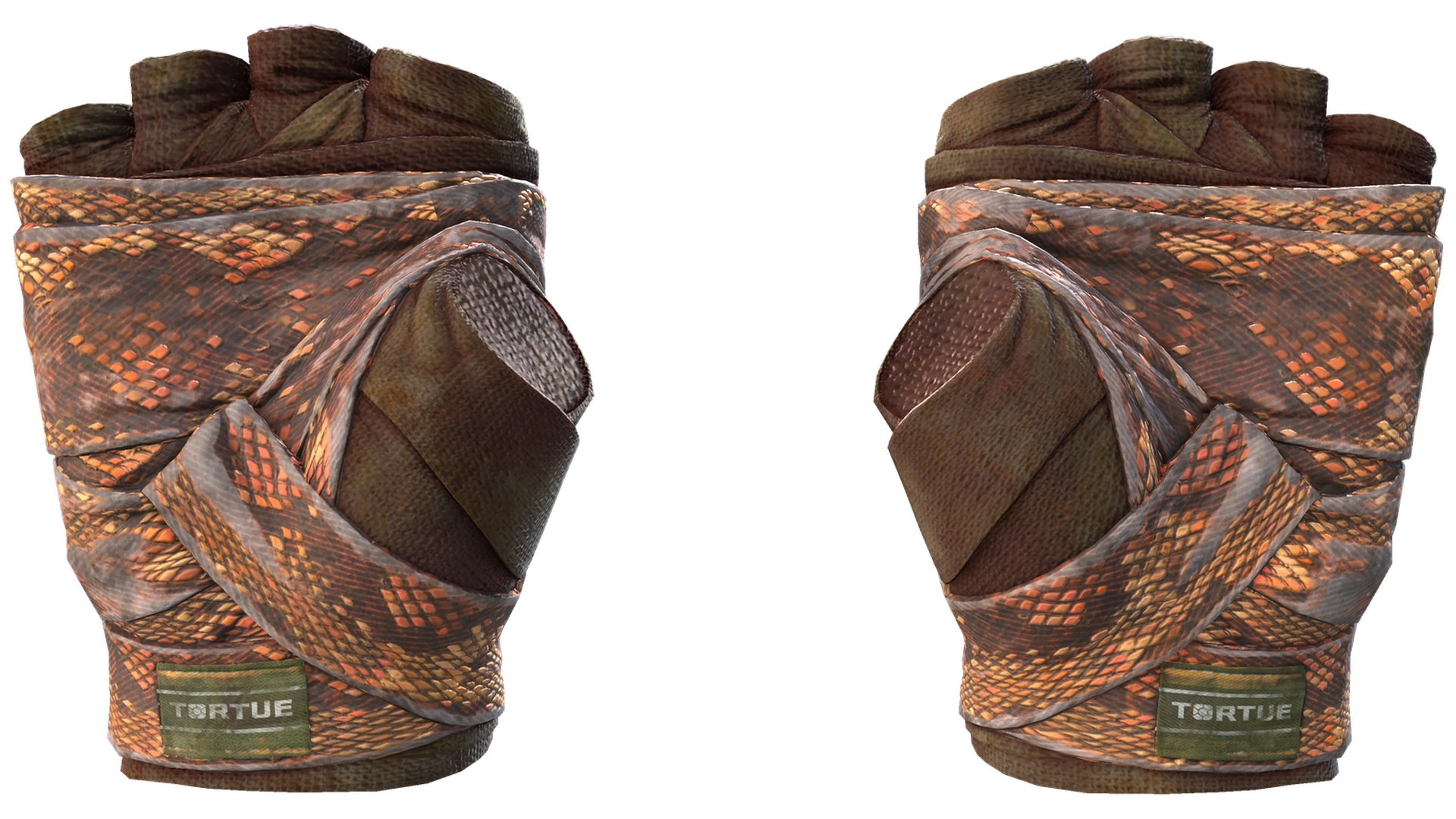 Constrictor image