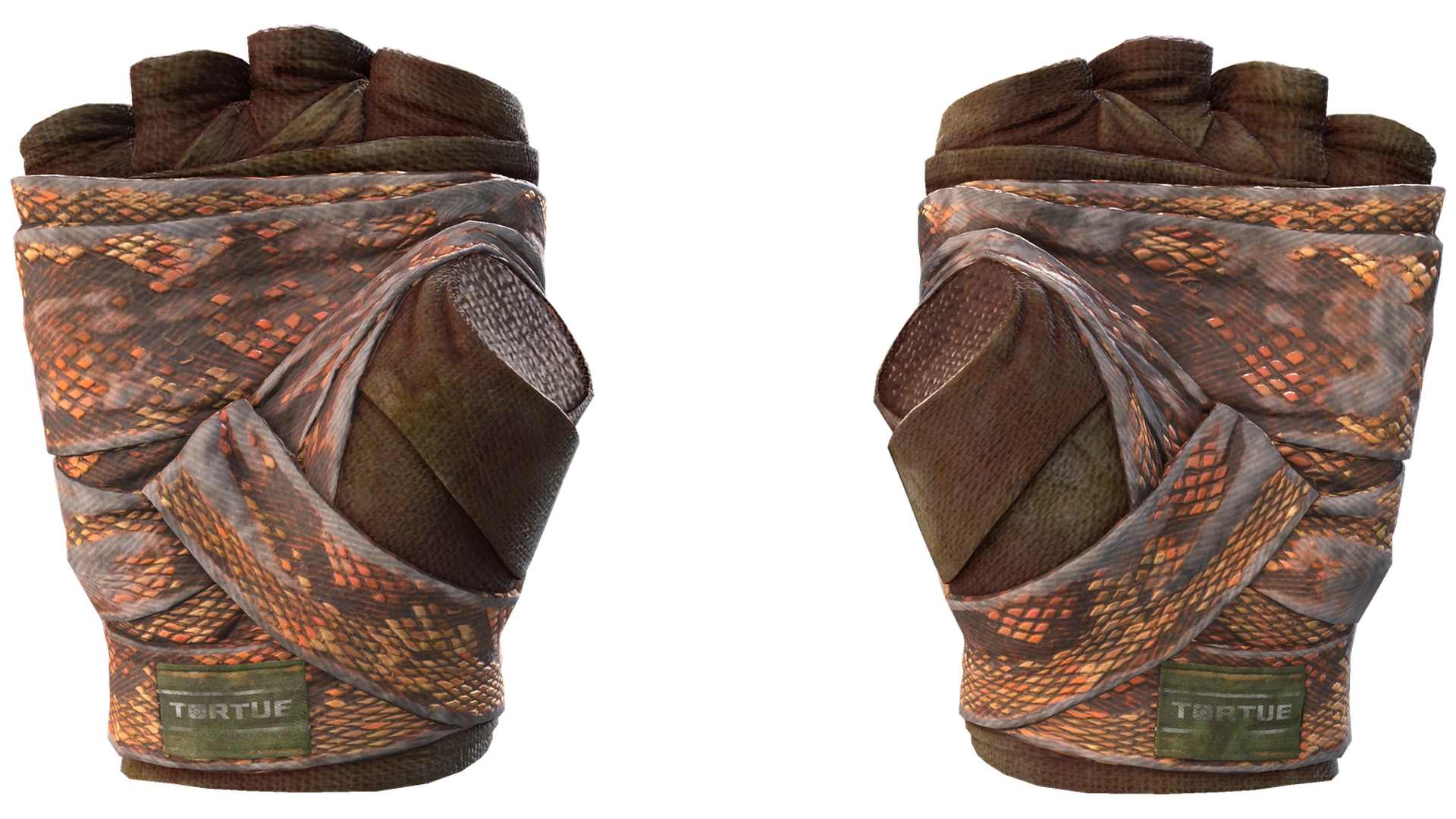 Constrictor image