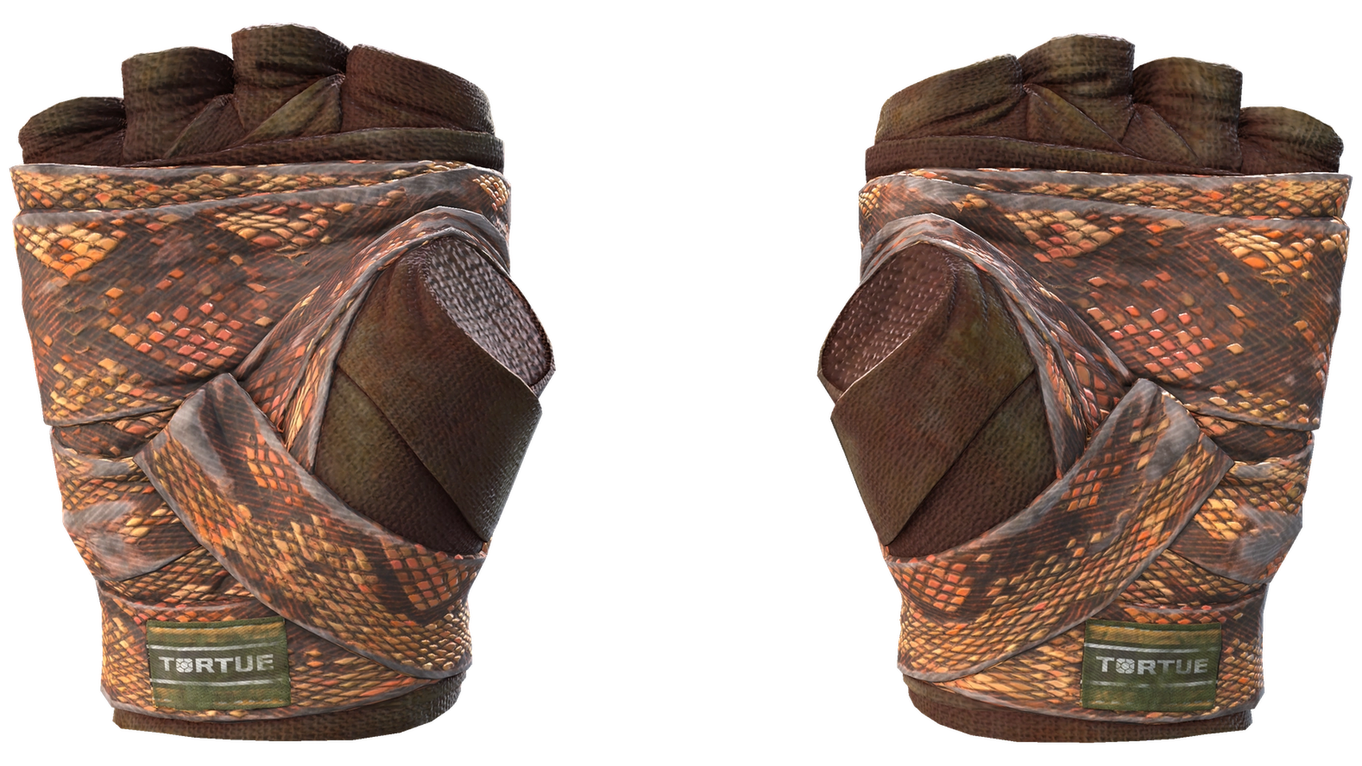 Constrictor image