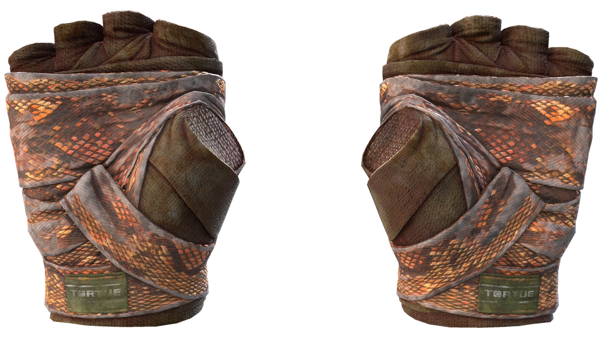 Constrictor image