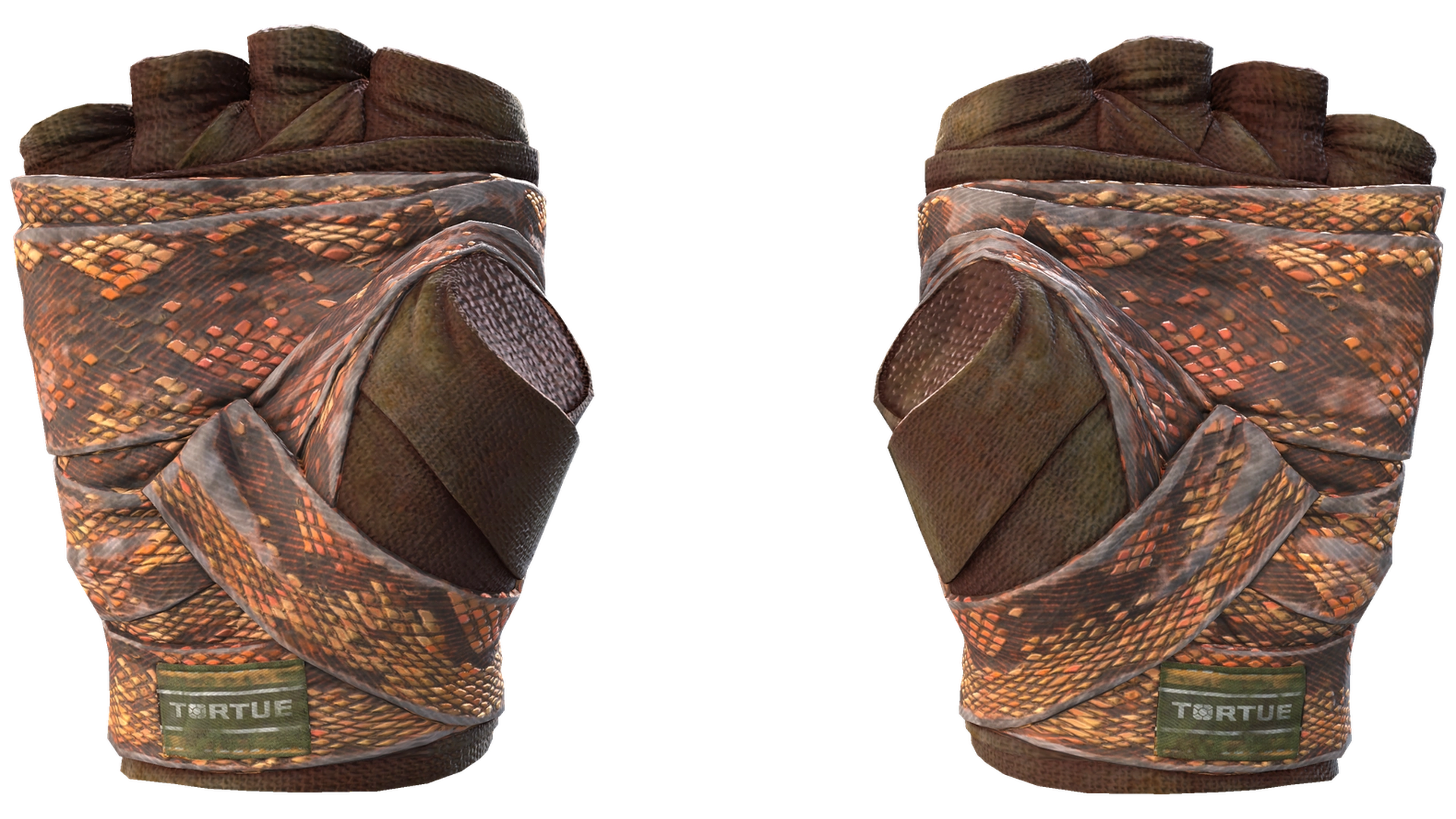 Constrictor image