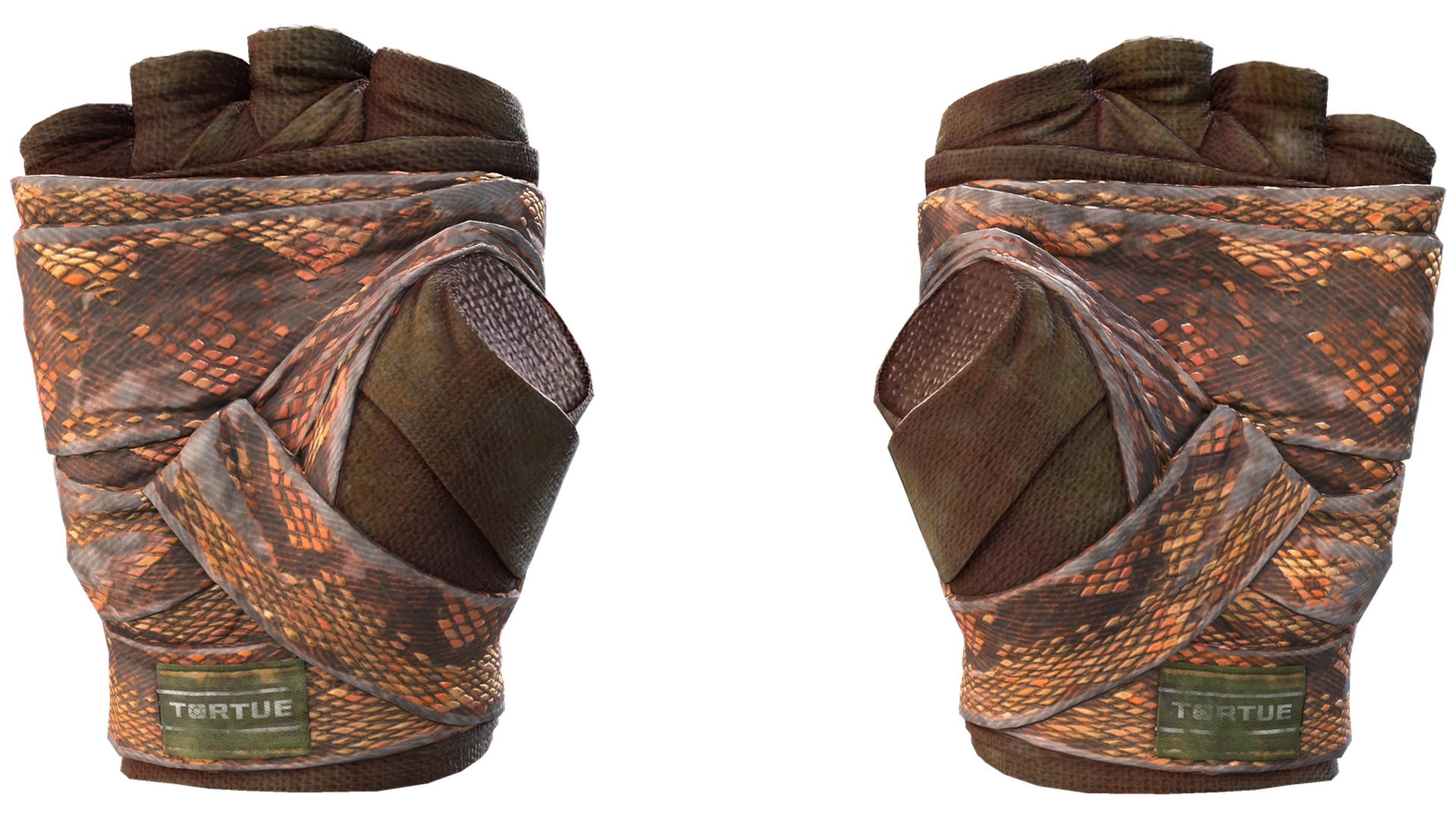 Constrictor image