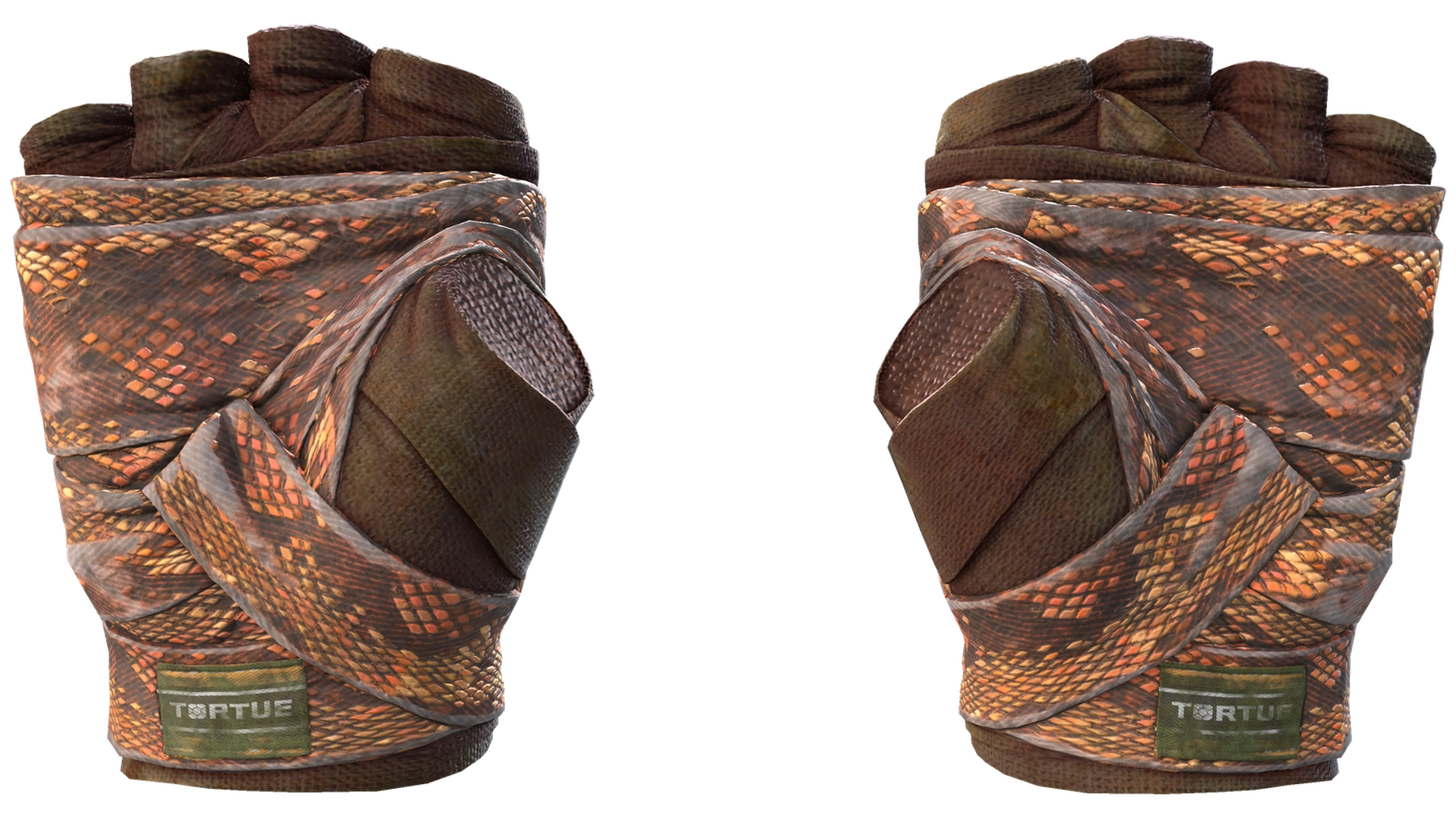 Constrictor image