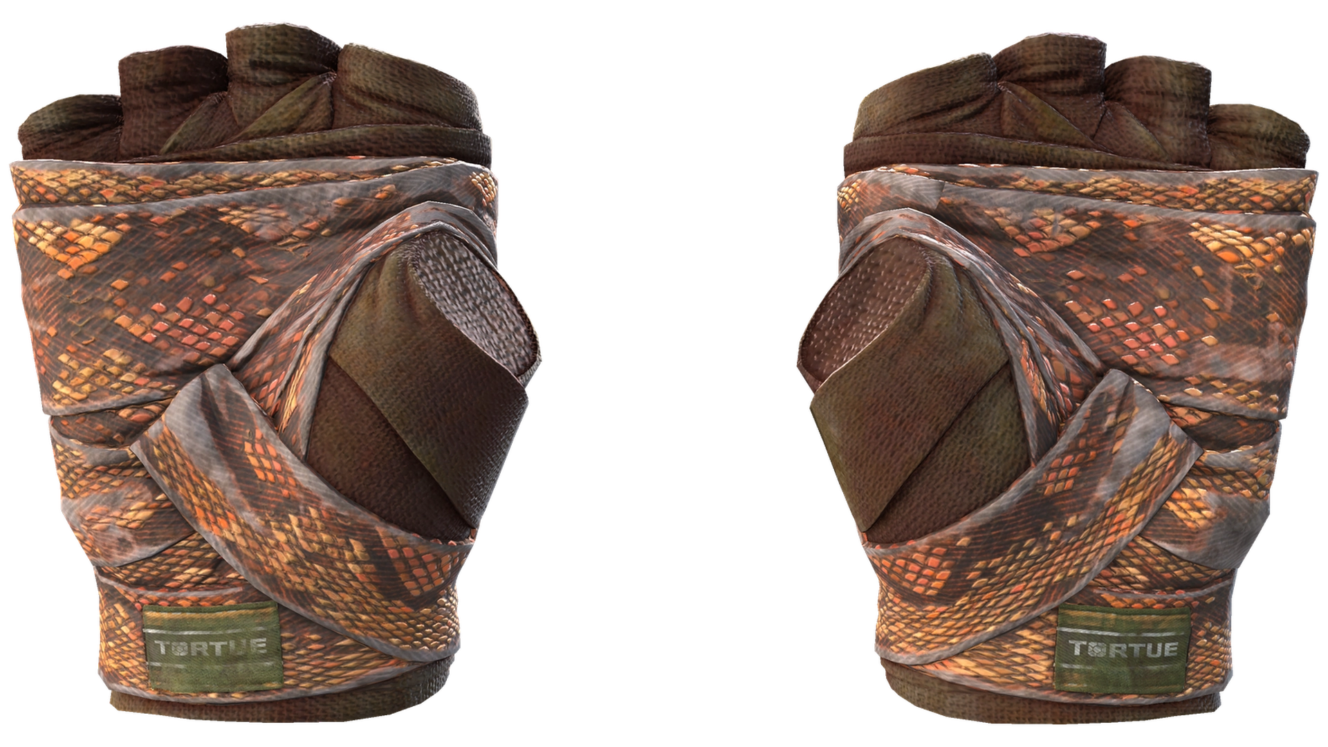 Constrictor image