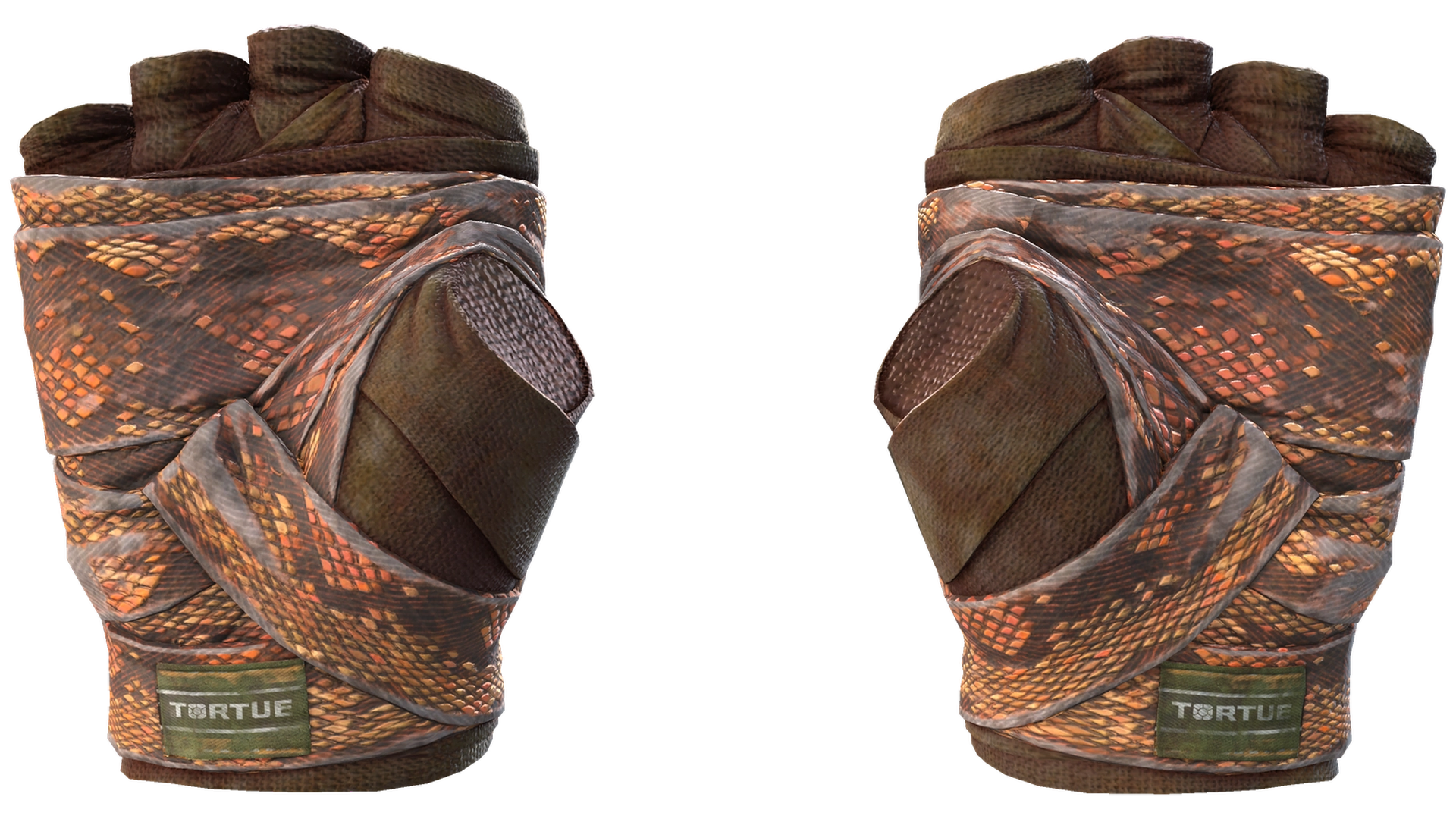 Constrictor image
