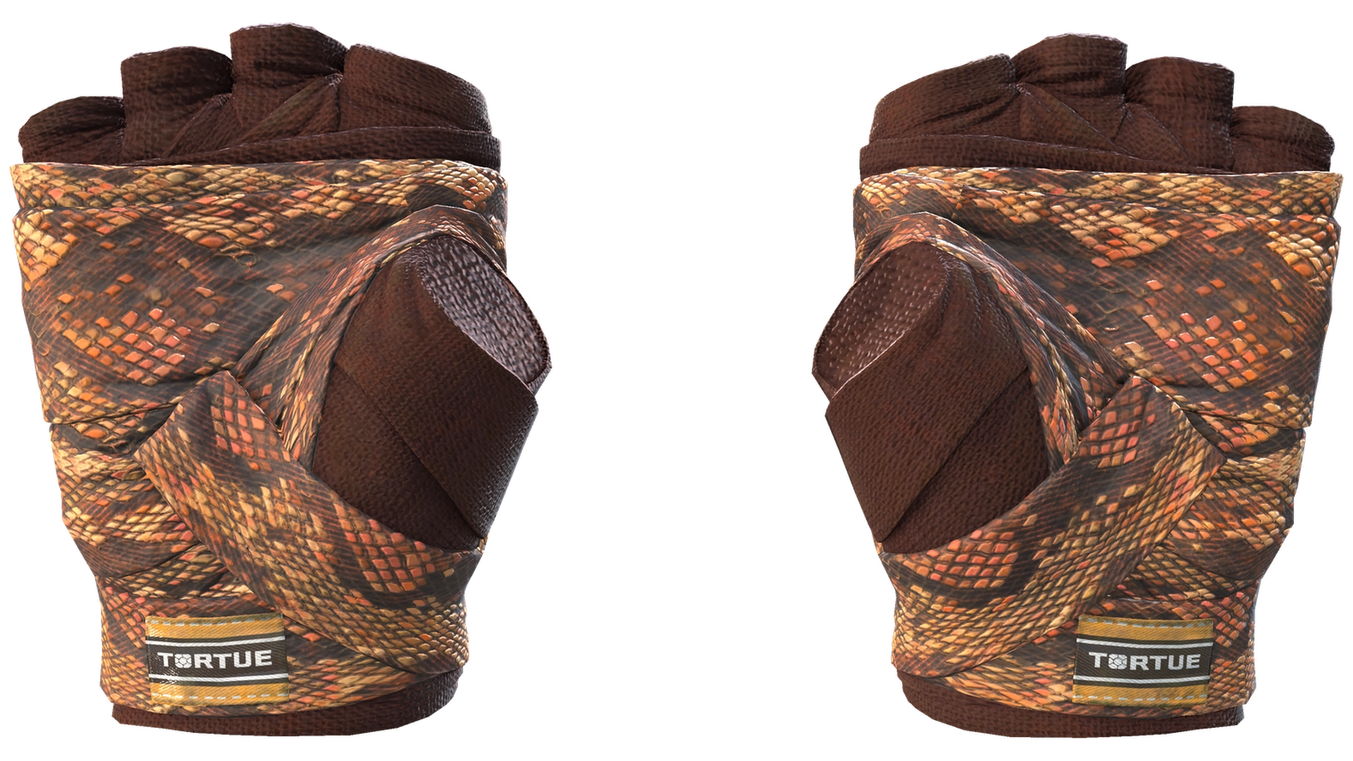 Constrictor image