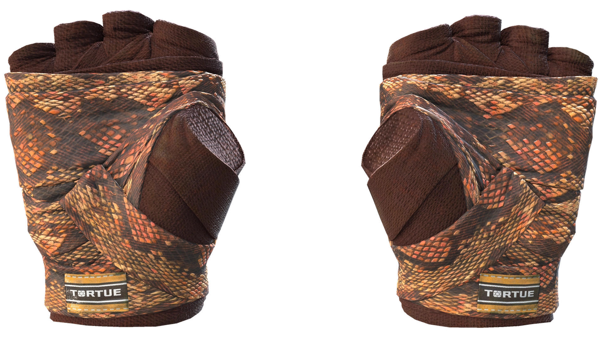 Constrictor image