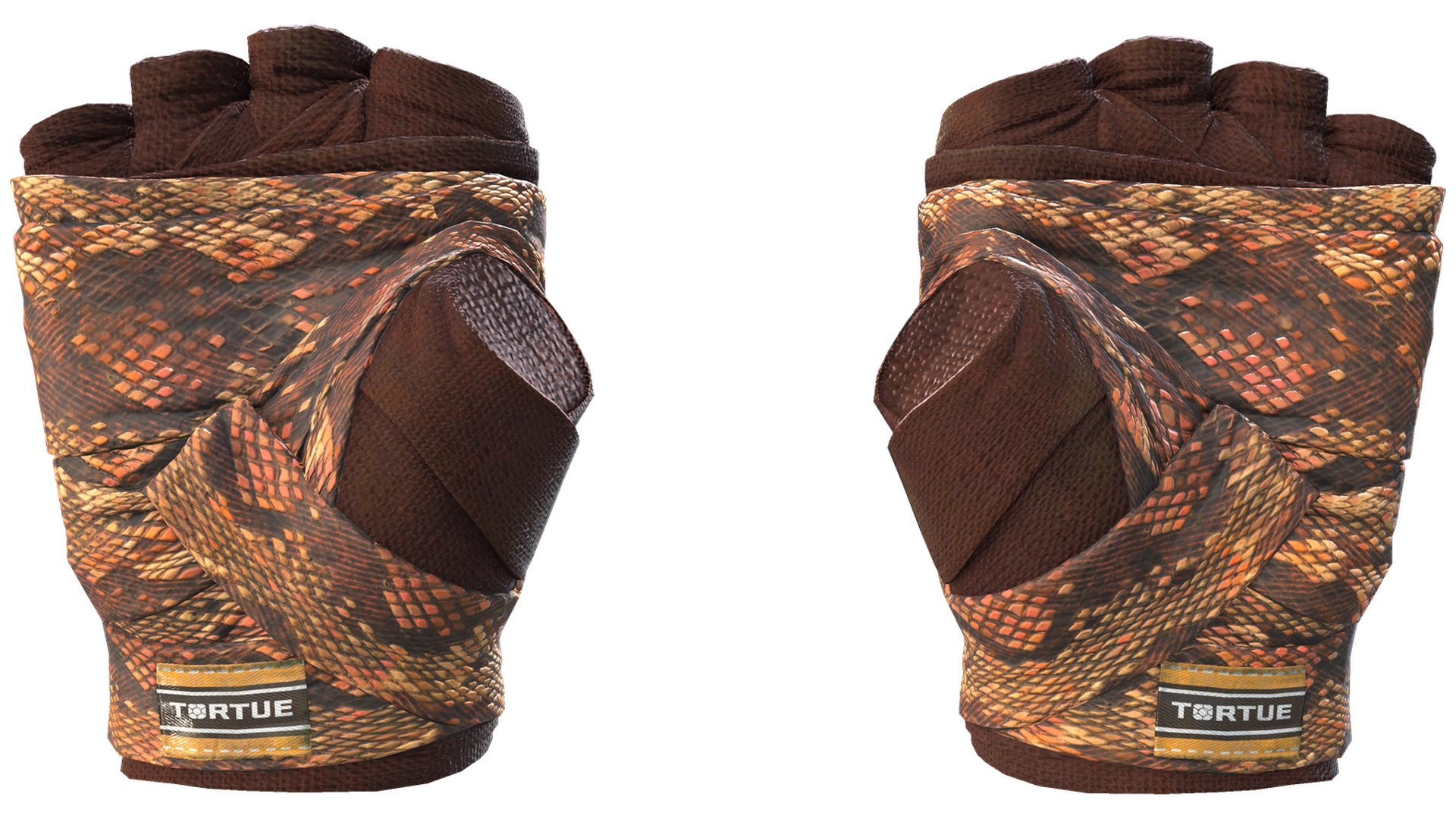 Constrictor image