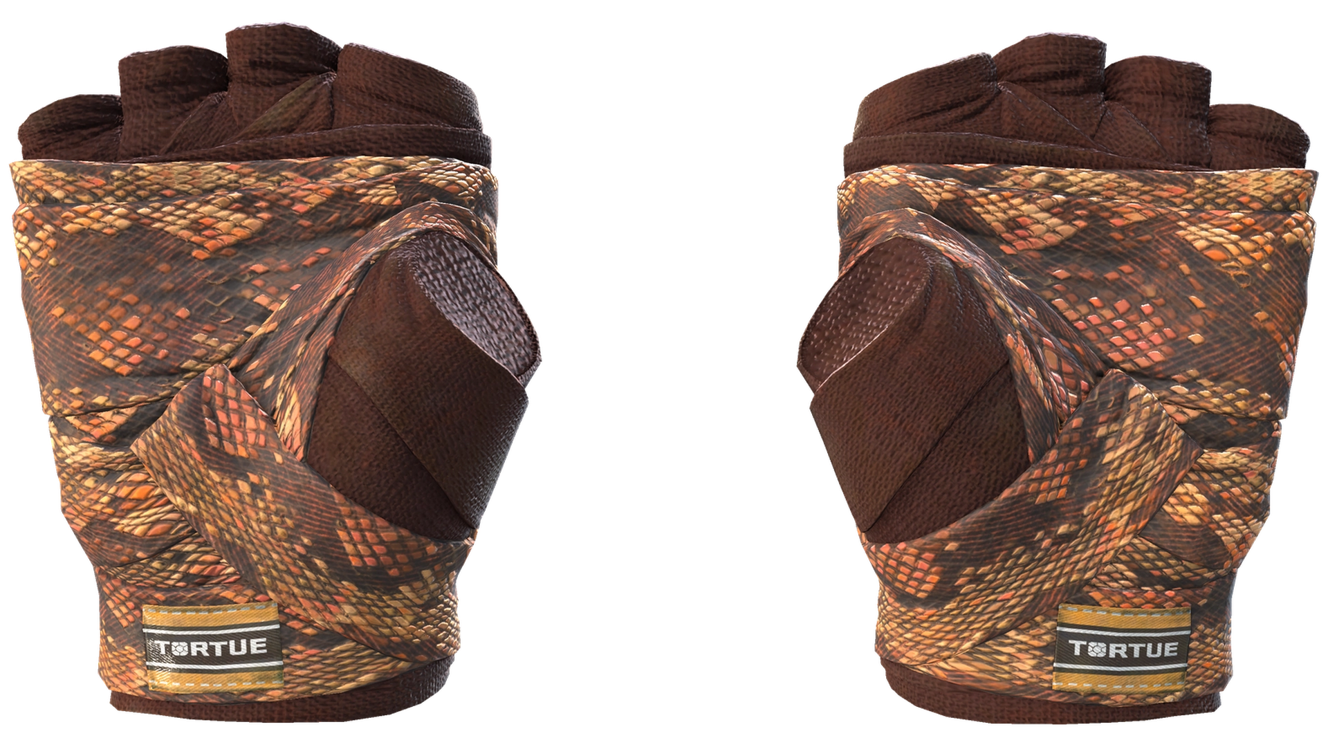 Constrictor image