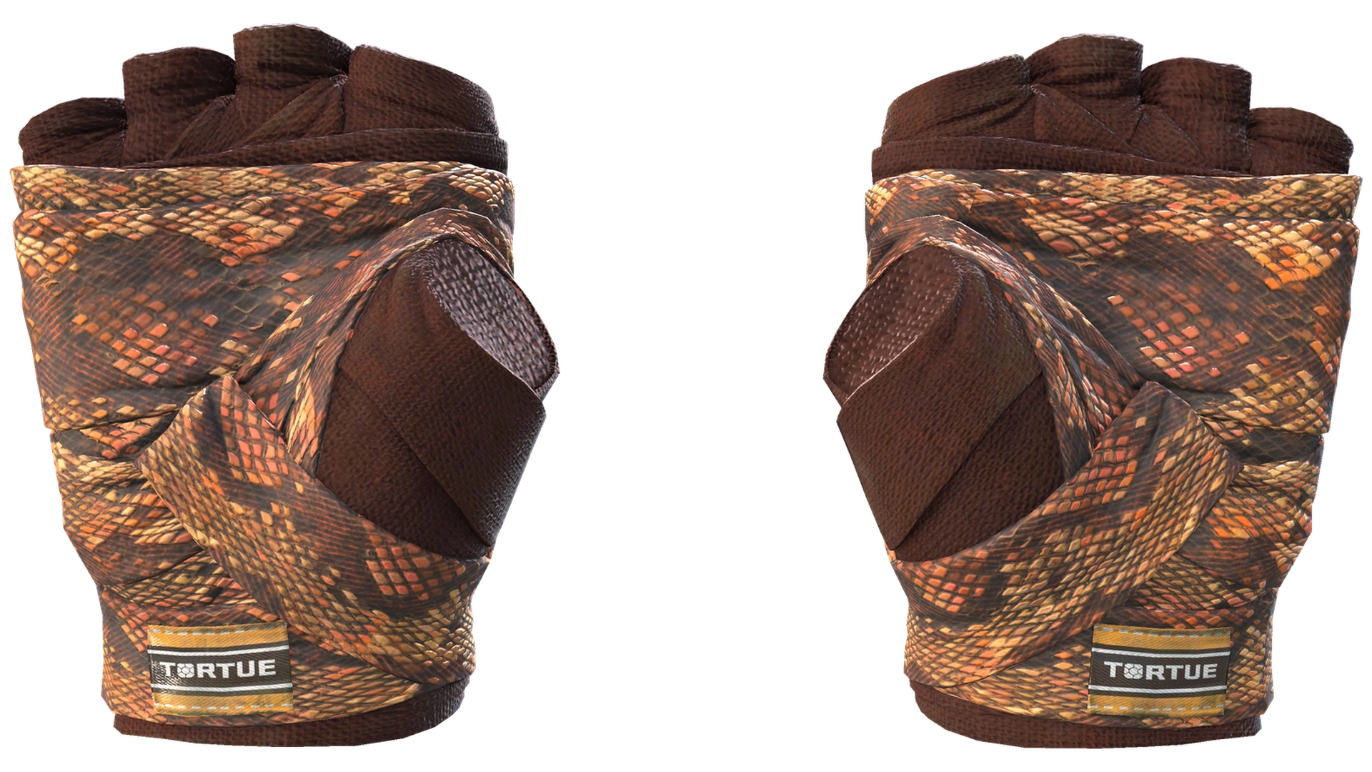 Constrictor image