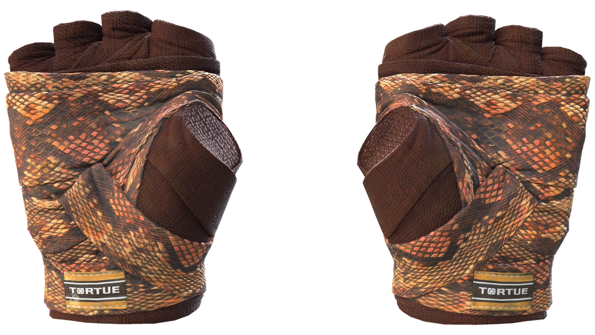 Constrictor image