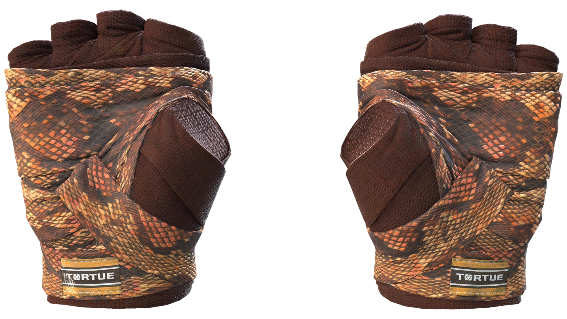 Constrictor image