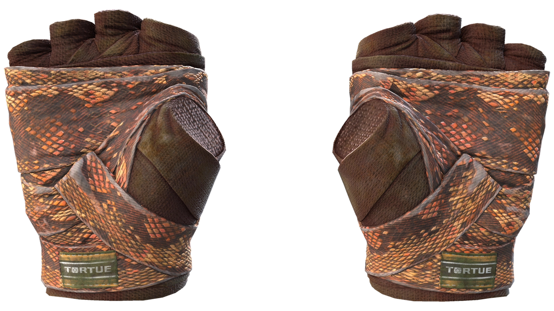 Constrictor image