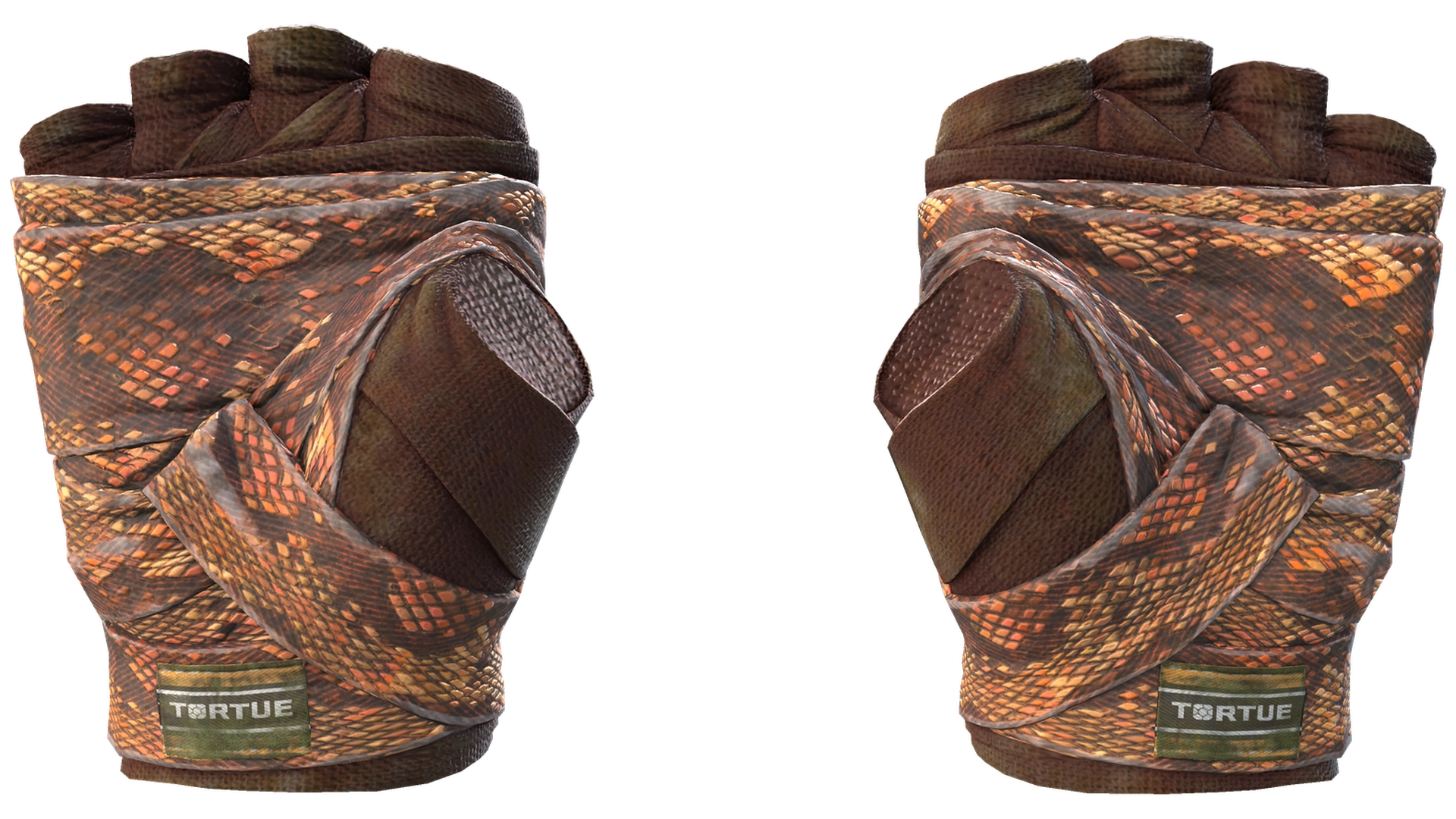 Constrictor image