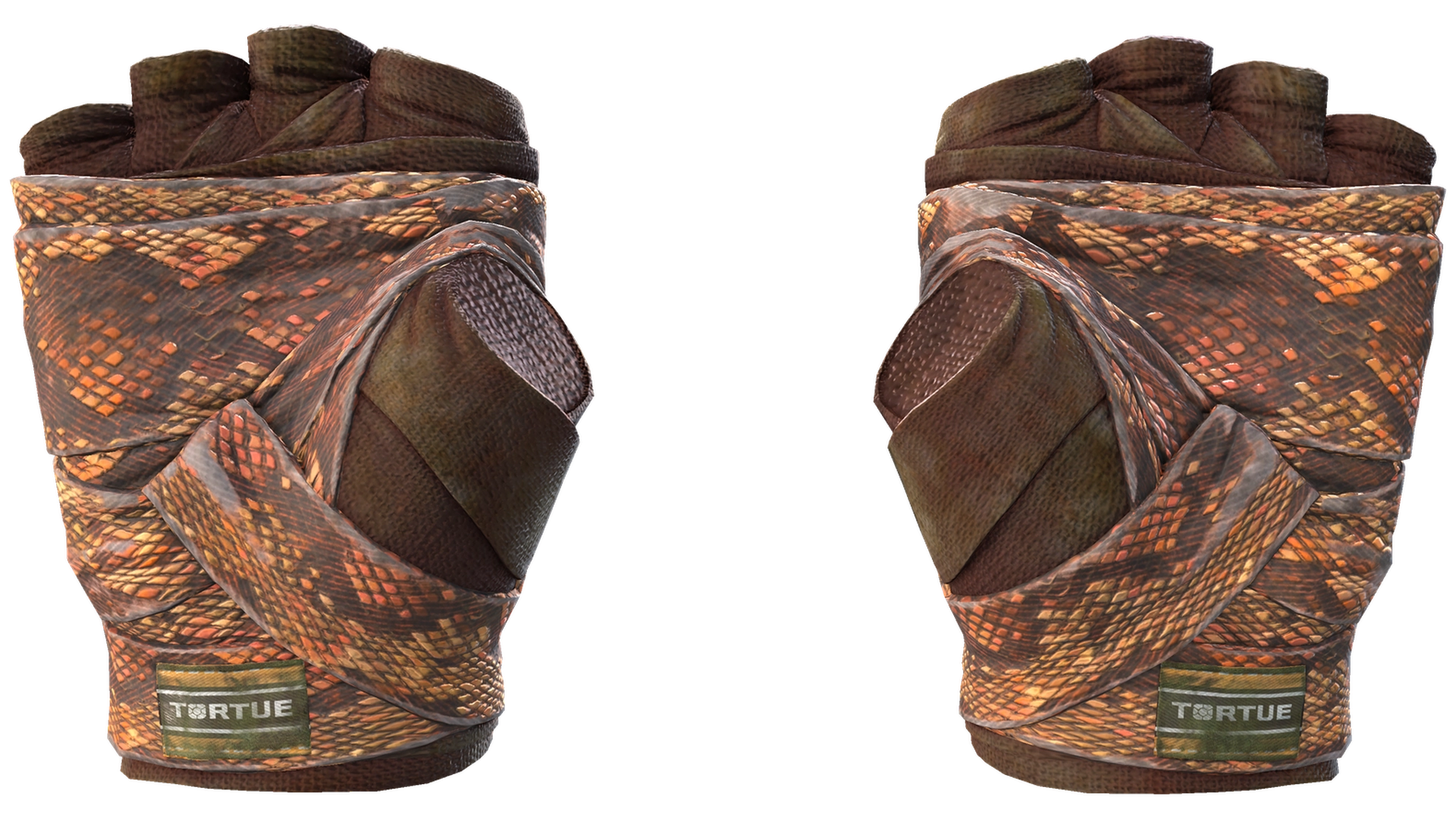 Constrictor image