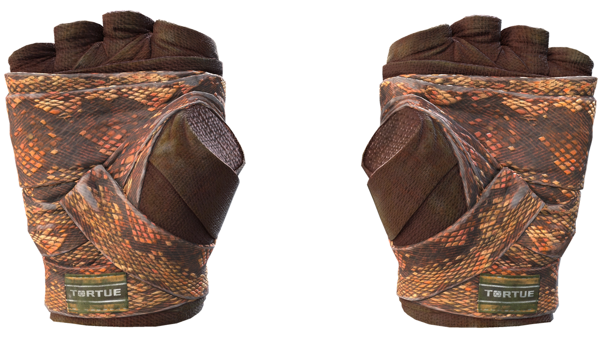Constrictor image