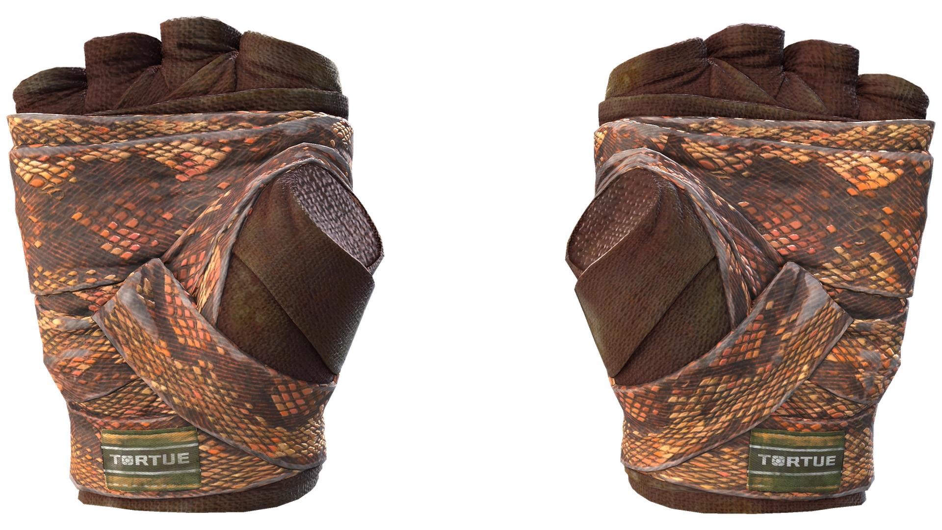 Constrictor image