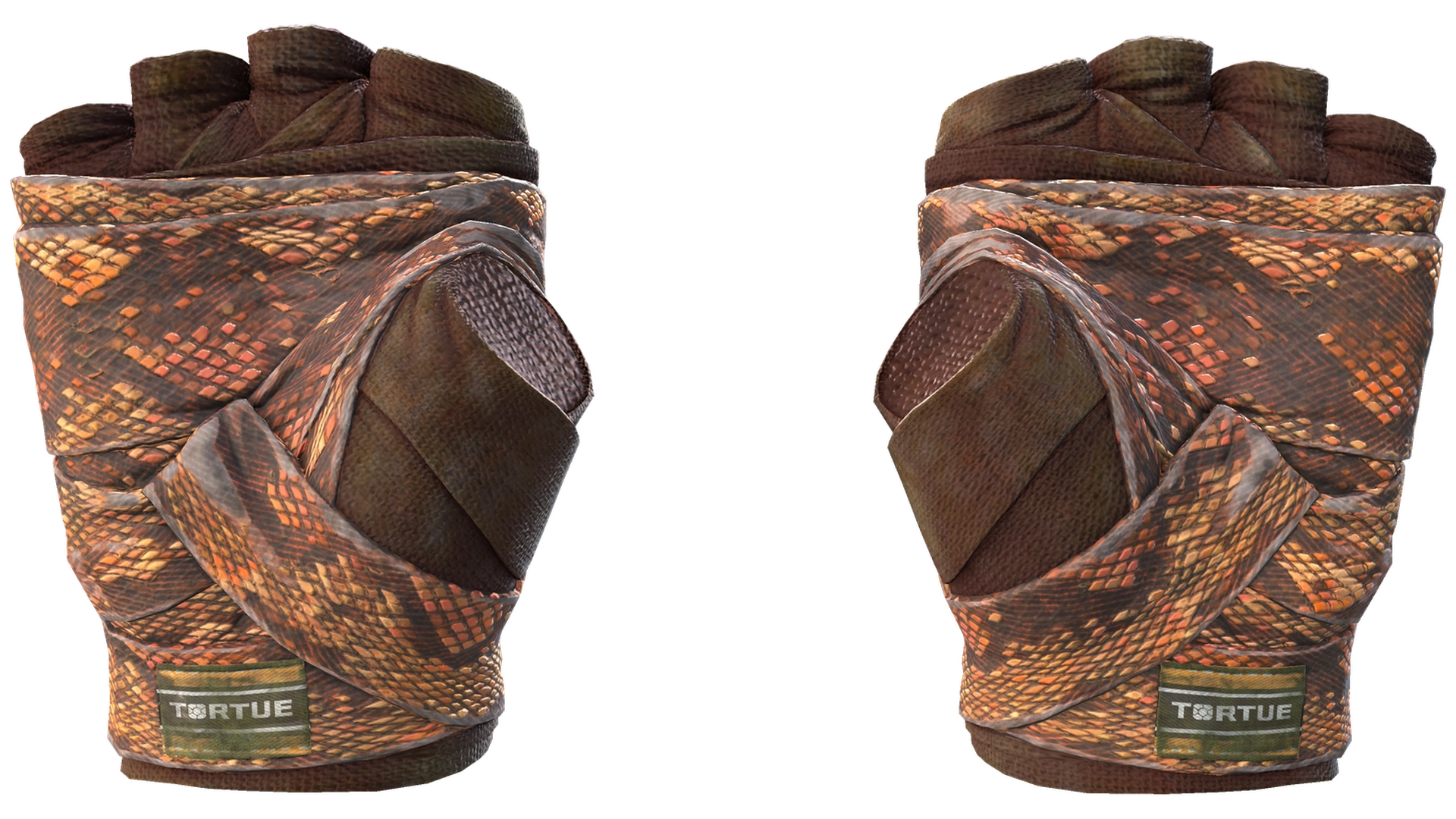 Constrictor image