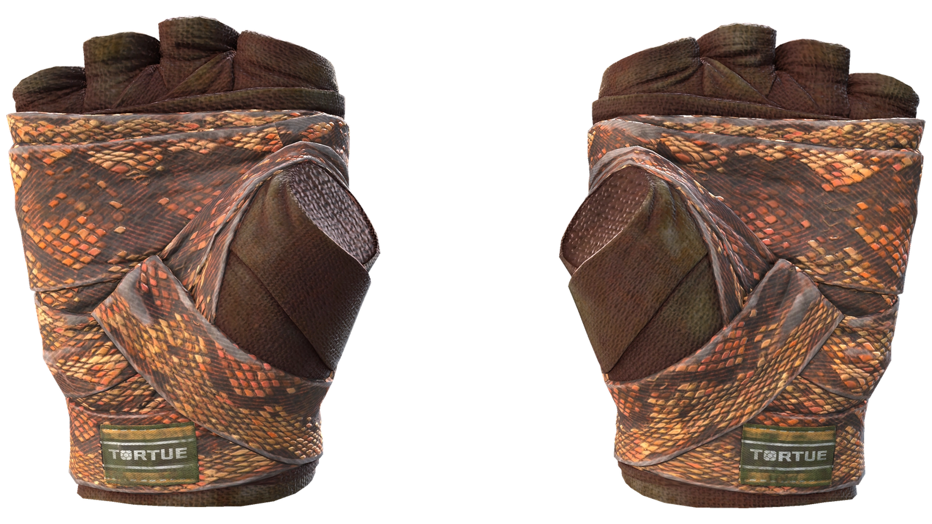 Constrictor image