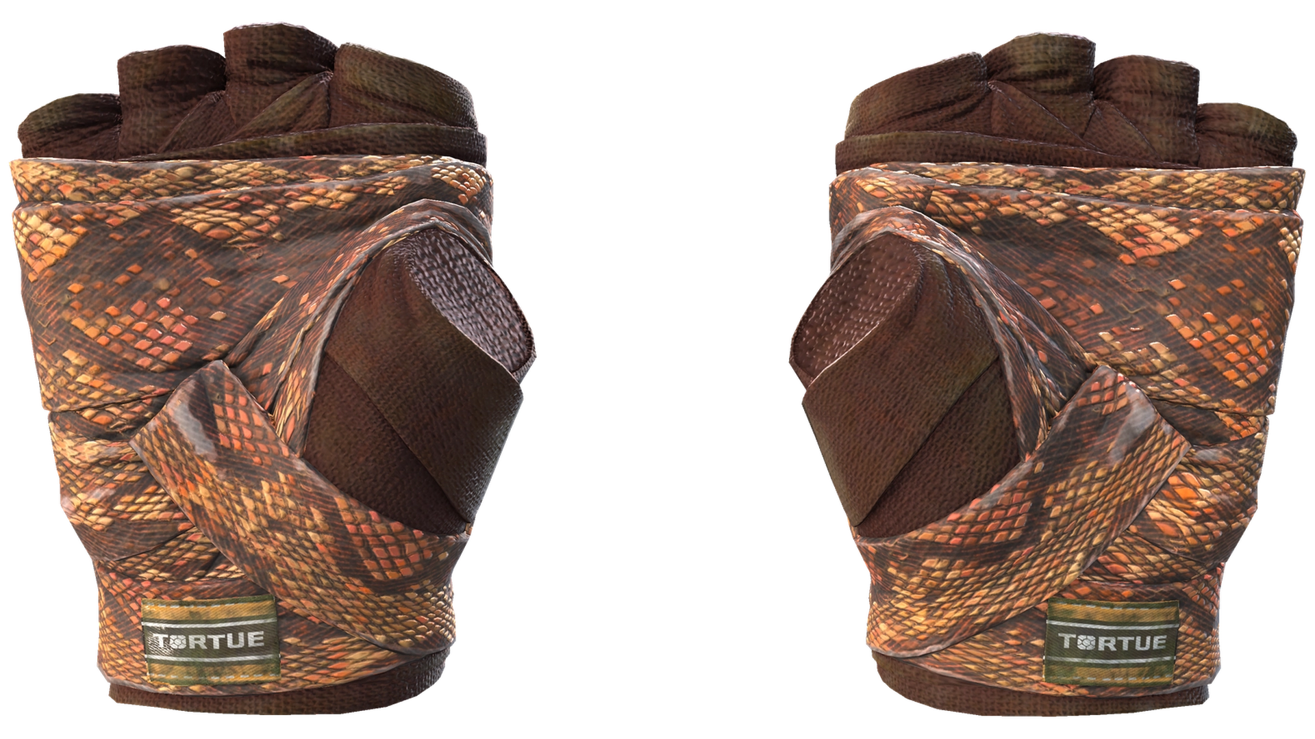 Constrictor image