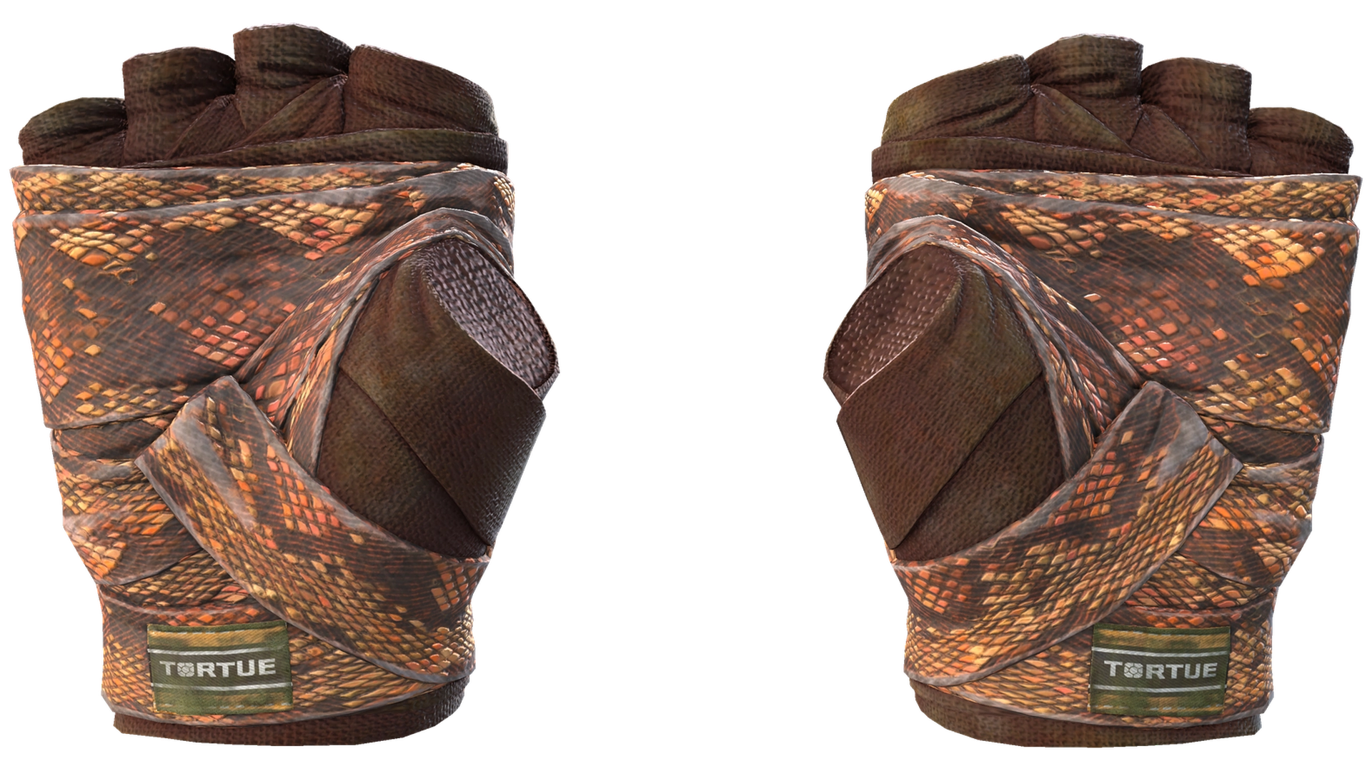 Constrictor image