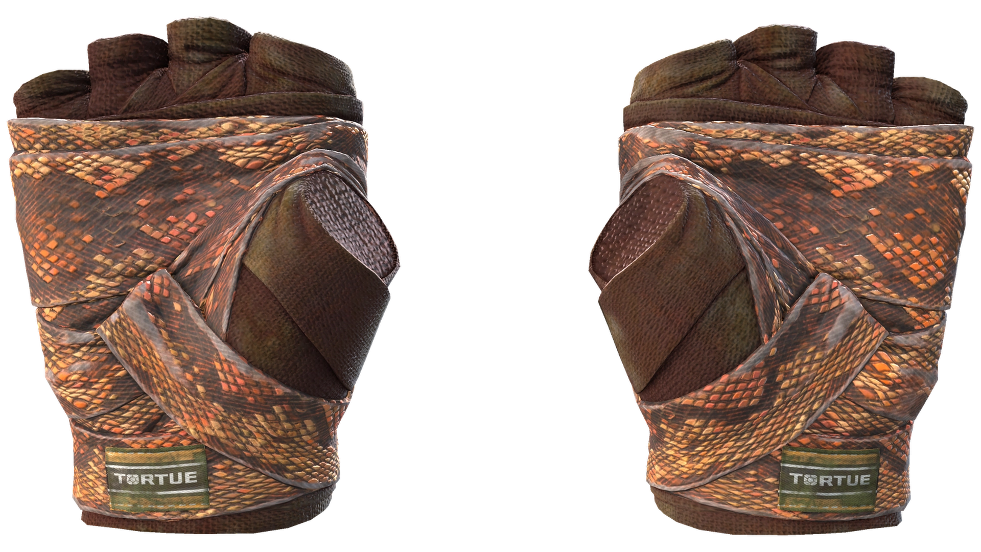 Constrictor image