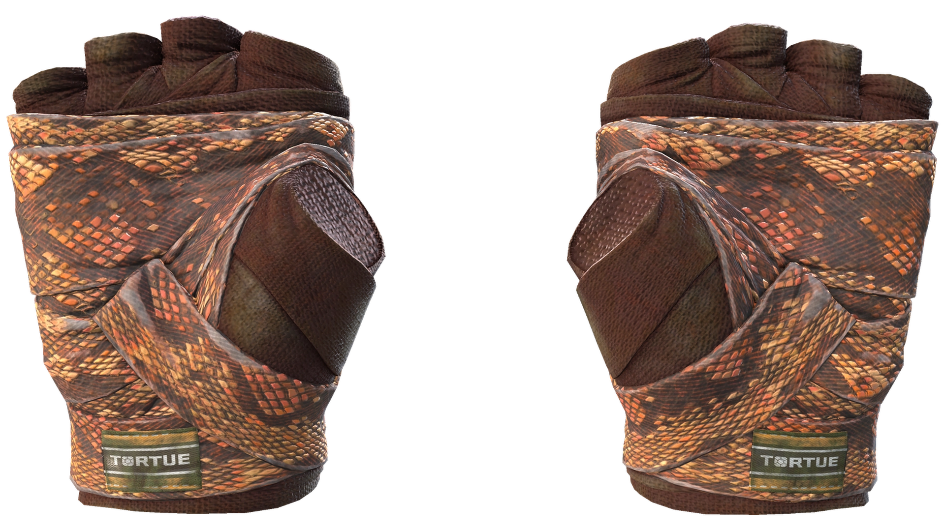 Constrictor image