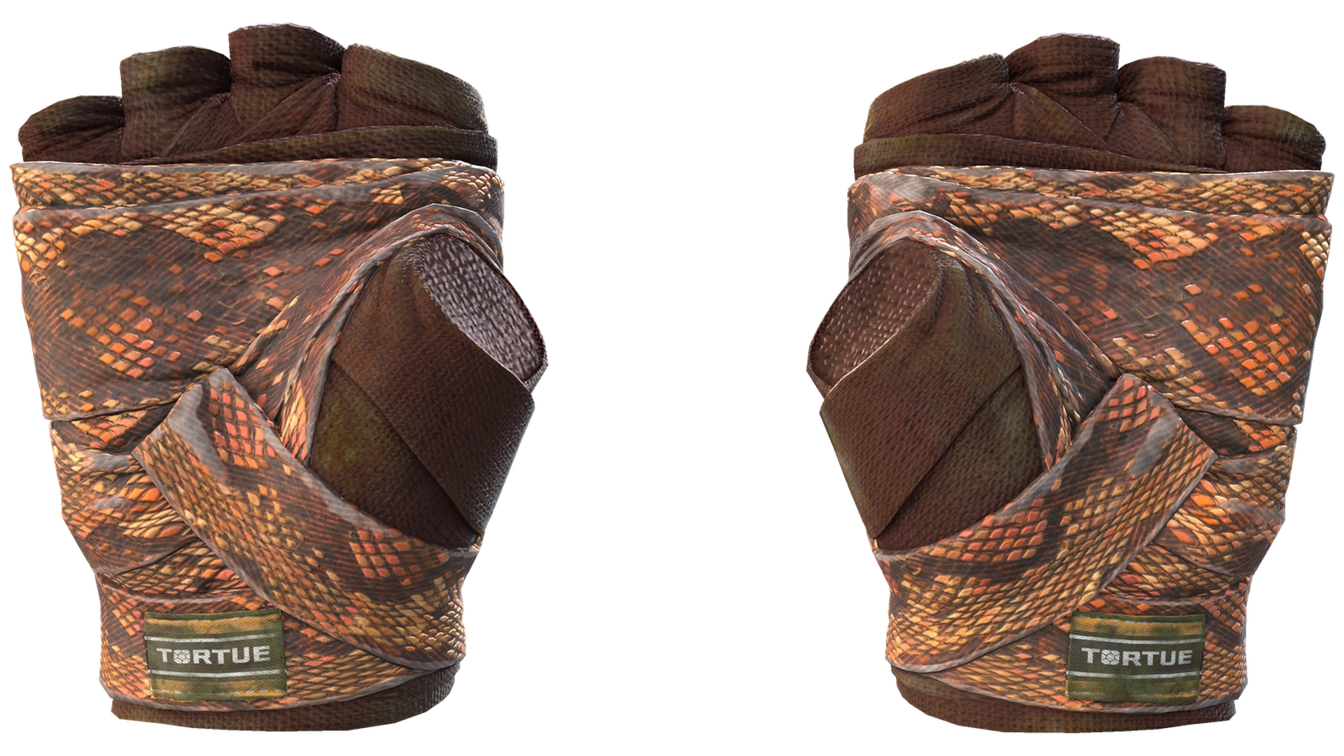 Constrictor image