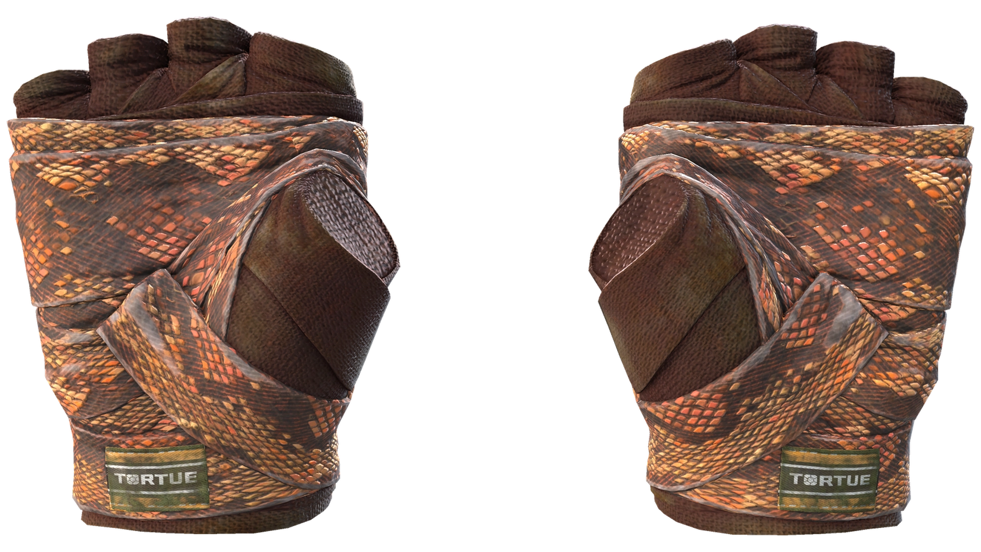 Constrictor image