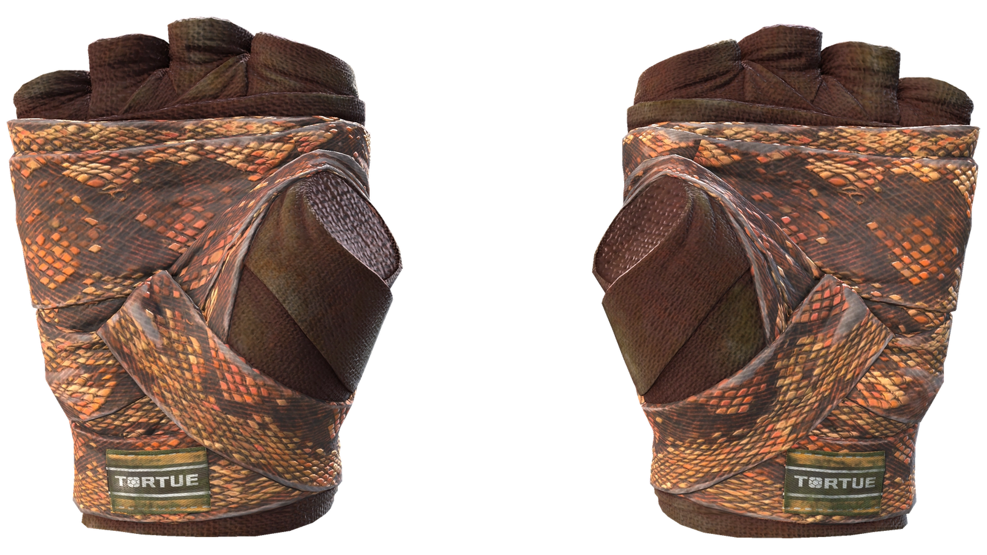 Constrictor image