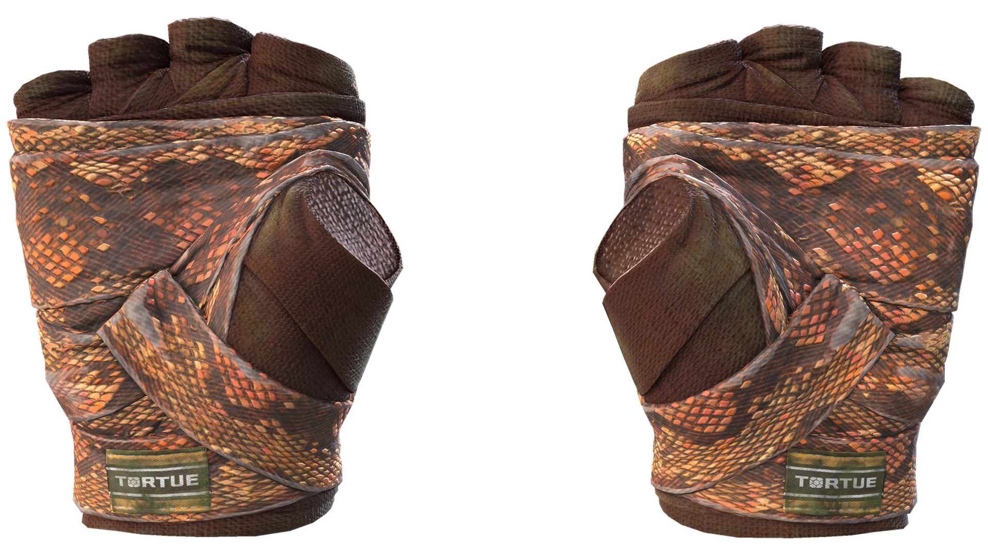 Constrictor image
